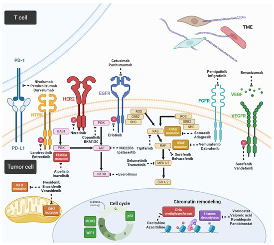 Life 12 00829 g002 550