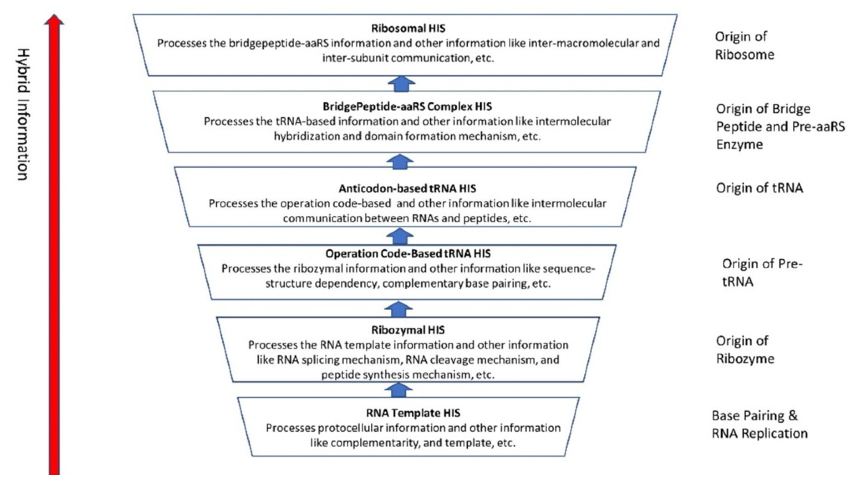 Life 12 00834 g013 550
