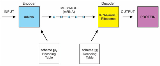 The Coevolution of Biomolecules and Prebiotic Information Systems in ...