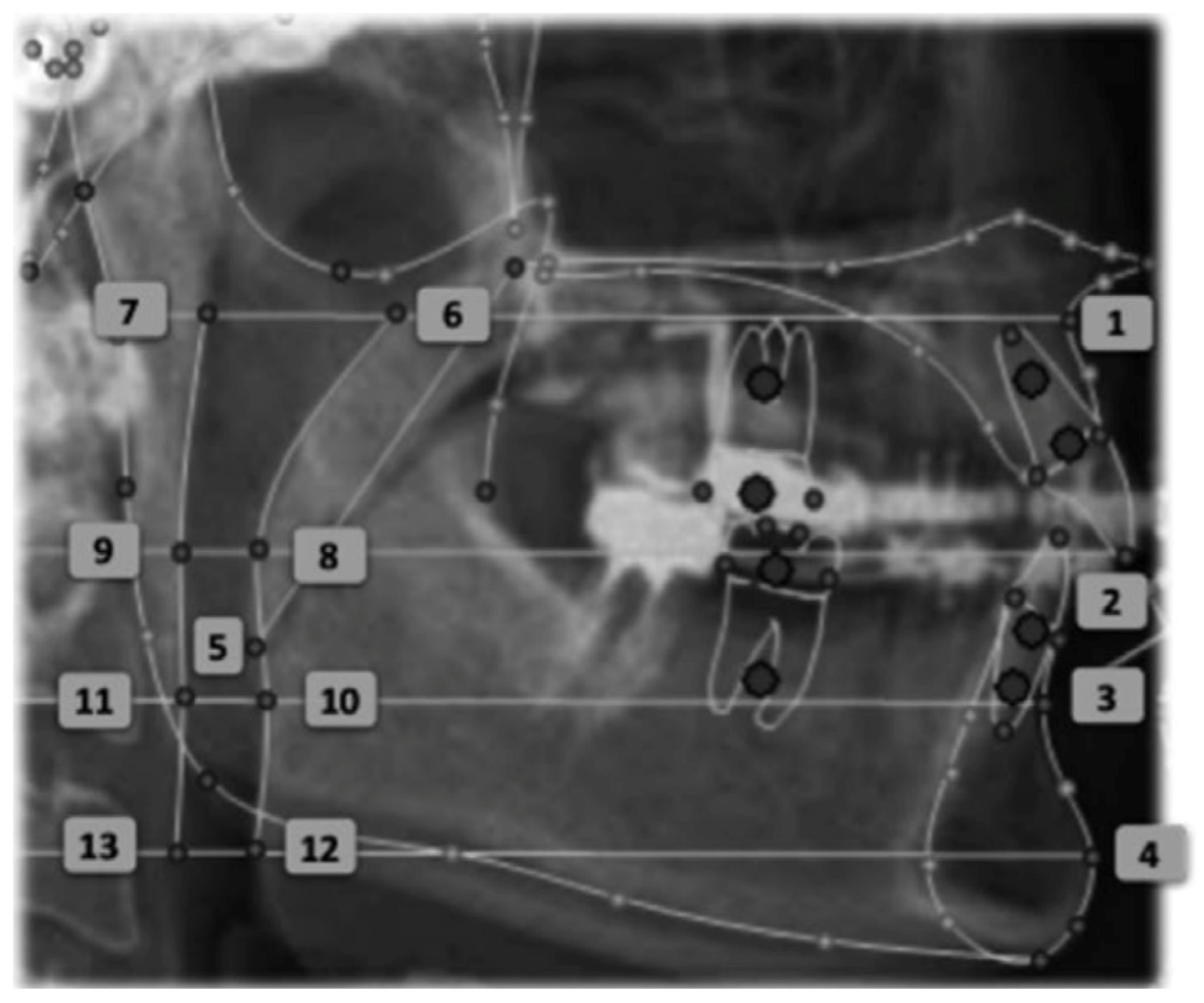 Life 12 00835 g003 550