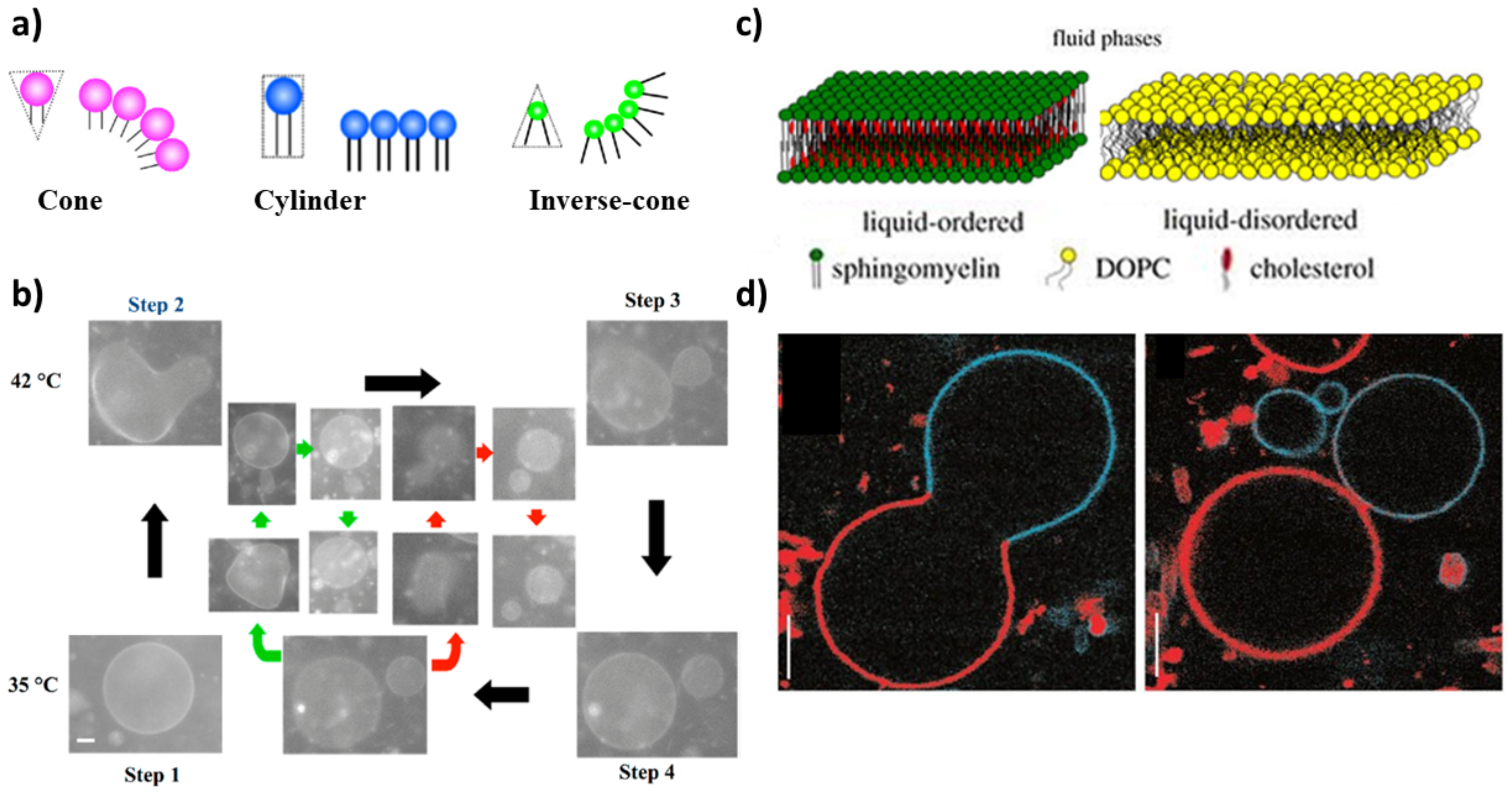 Life 12 00841 g001 Life 12 00841 g001