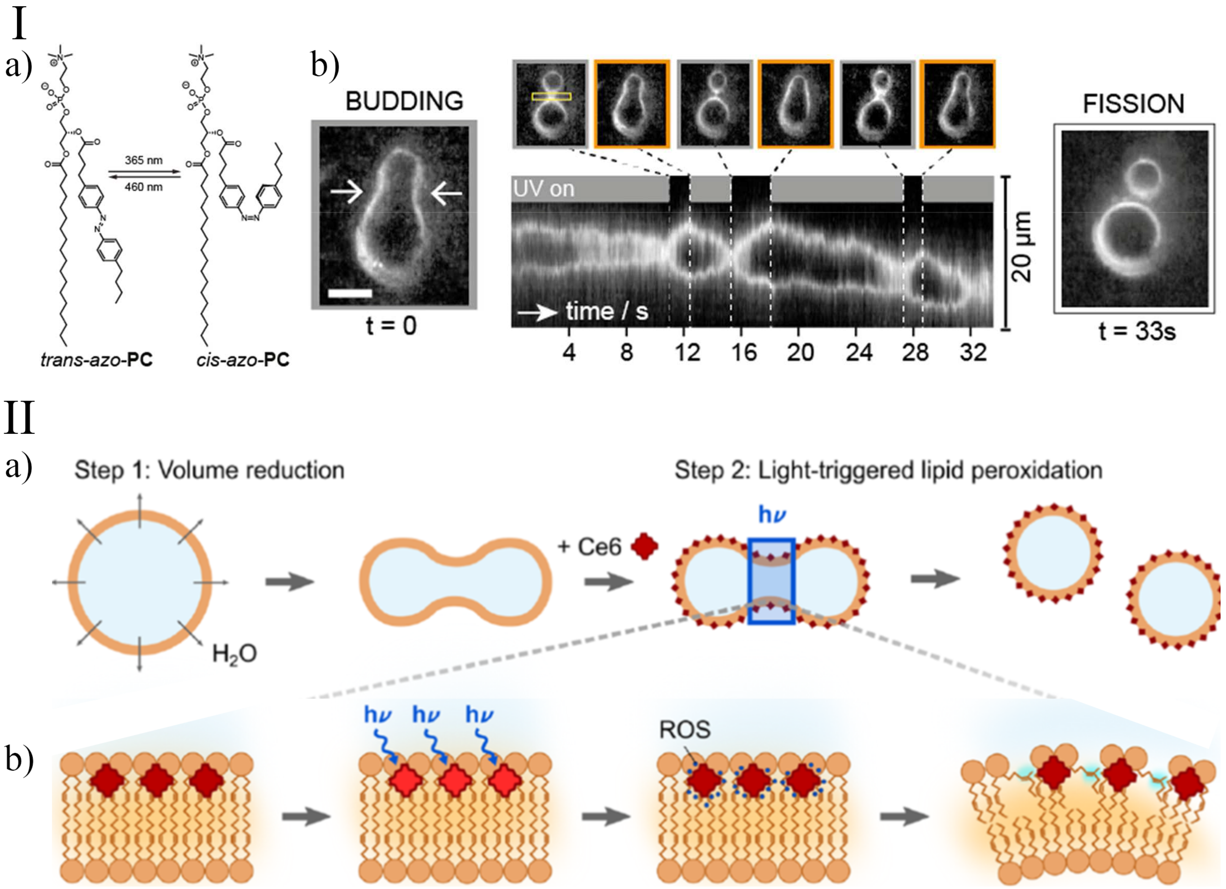 Life 12 00841 g002 Life 12 00841 g002