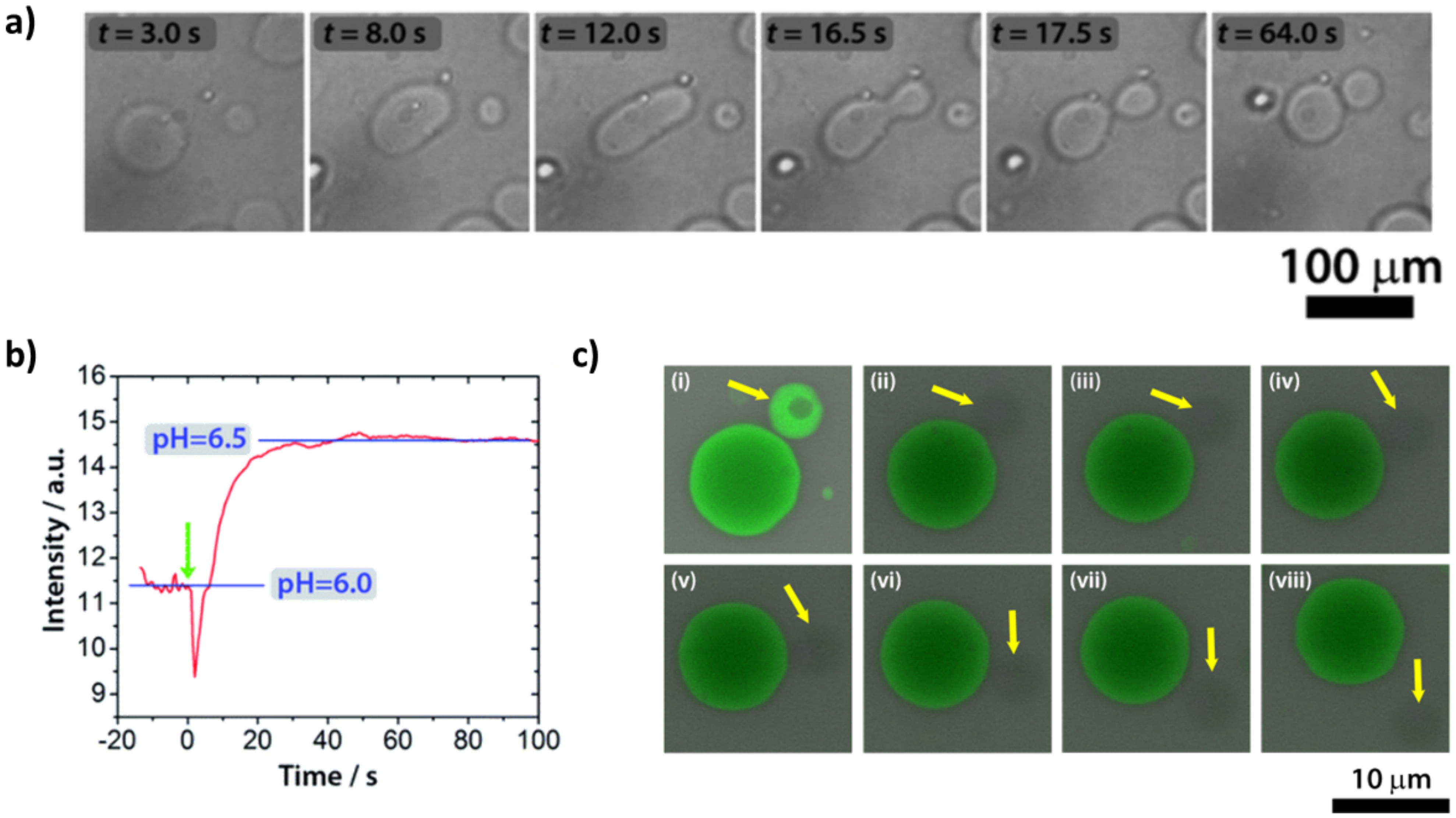 Life 12 00841 g005 Life 12 00841 g005