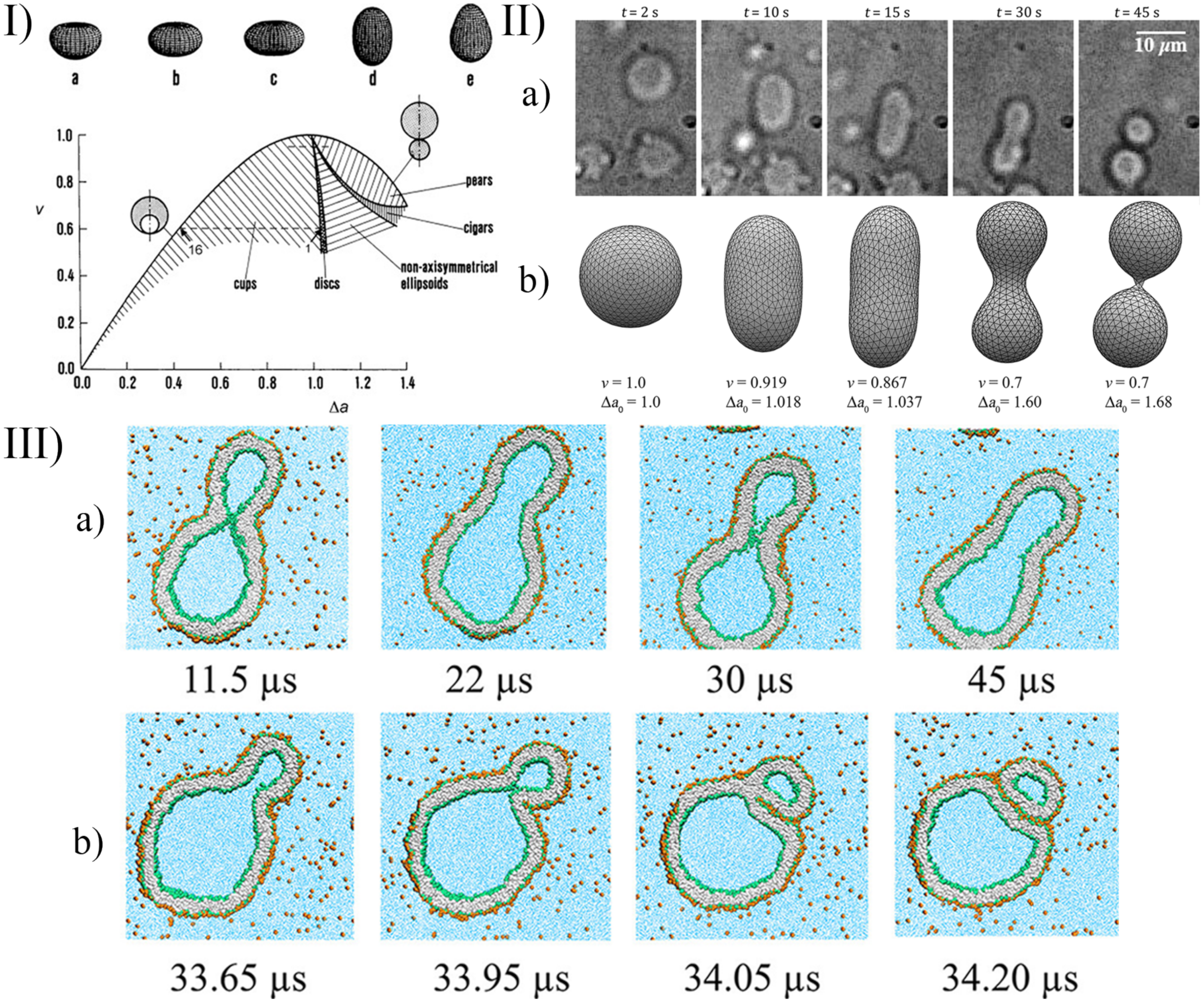 Life 12 00841 g006 Life 12 00841 g006