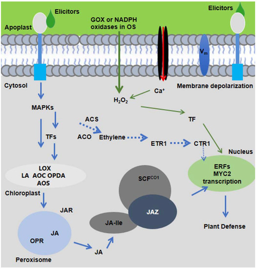 Molecular and Biochemical Mechanisms of Elicitors in Pest Resistance