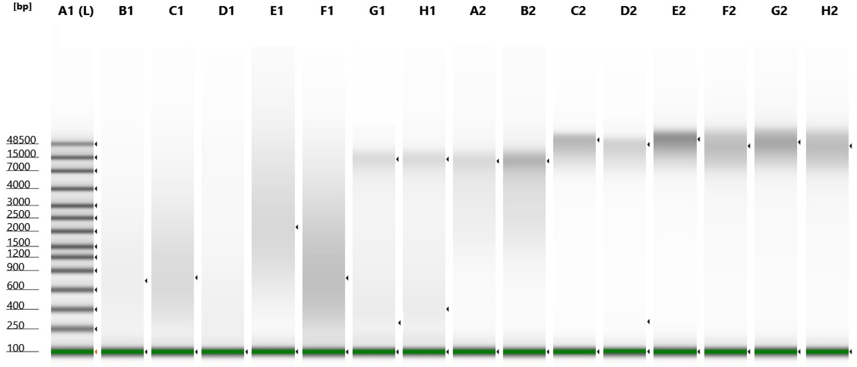 Life 12 00851 g001 Life 12 00851 g001