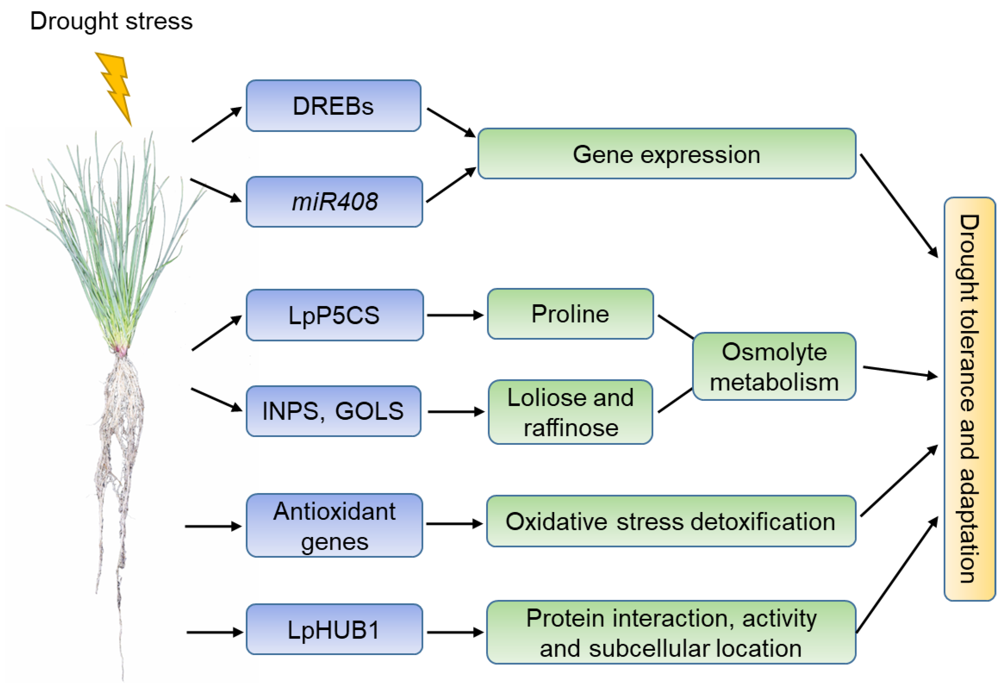 Life 12 00860 g001 Life 12 00860 g001