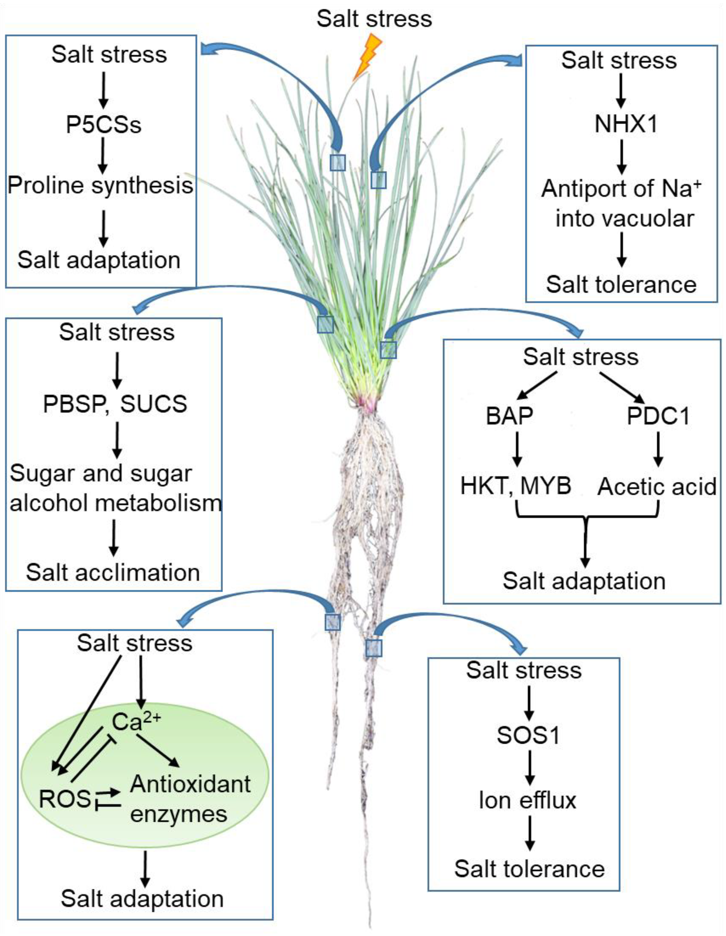Life 12 00860 g002 Life 12 00860 g002