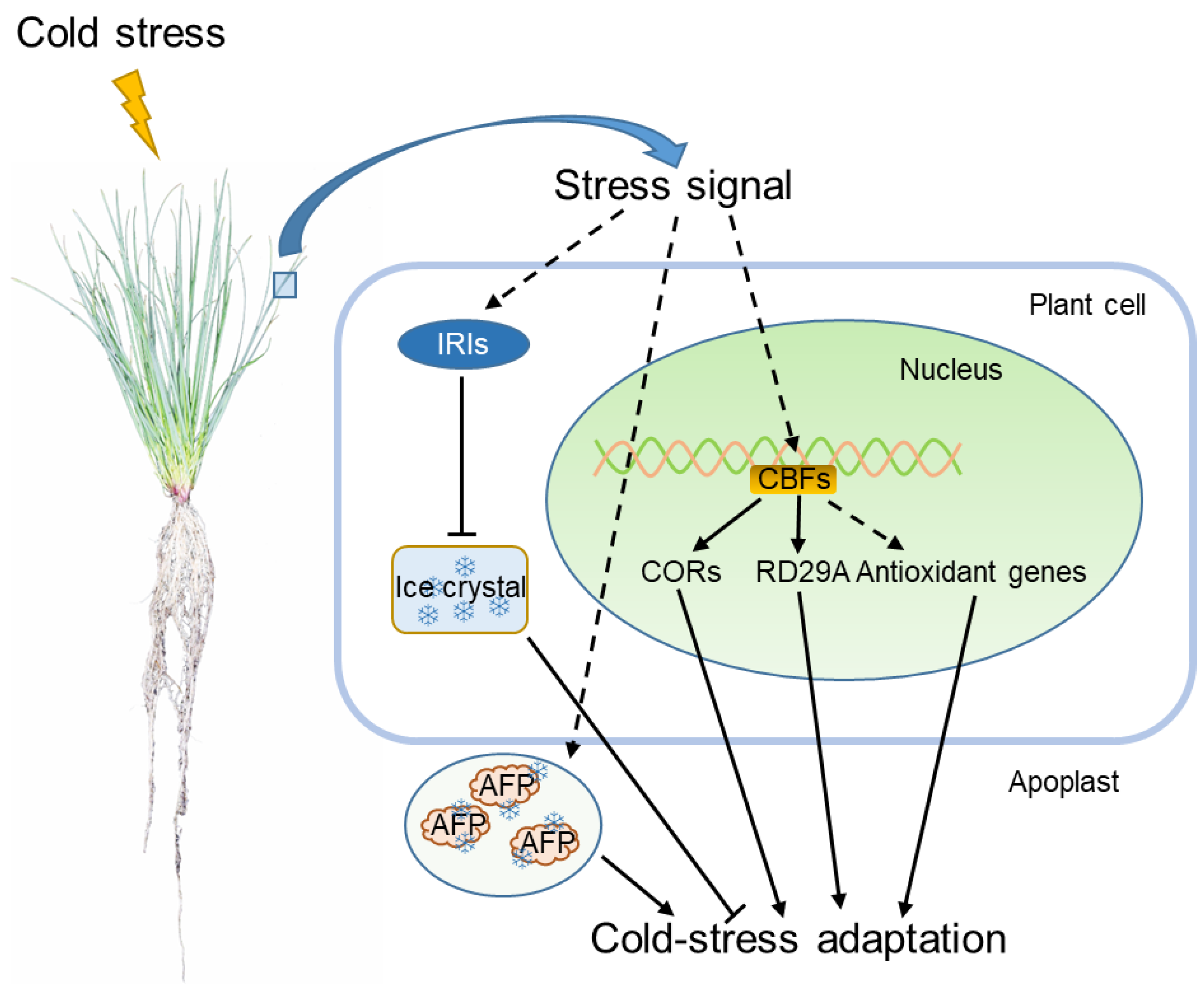 Life 12 00860 g003 Life 12 00860 g003