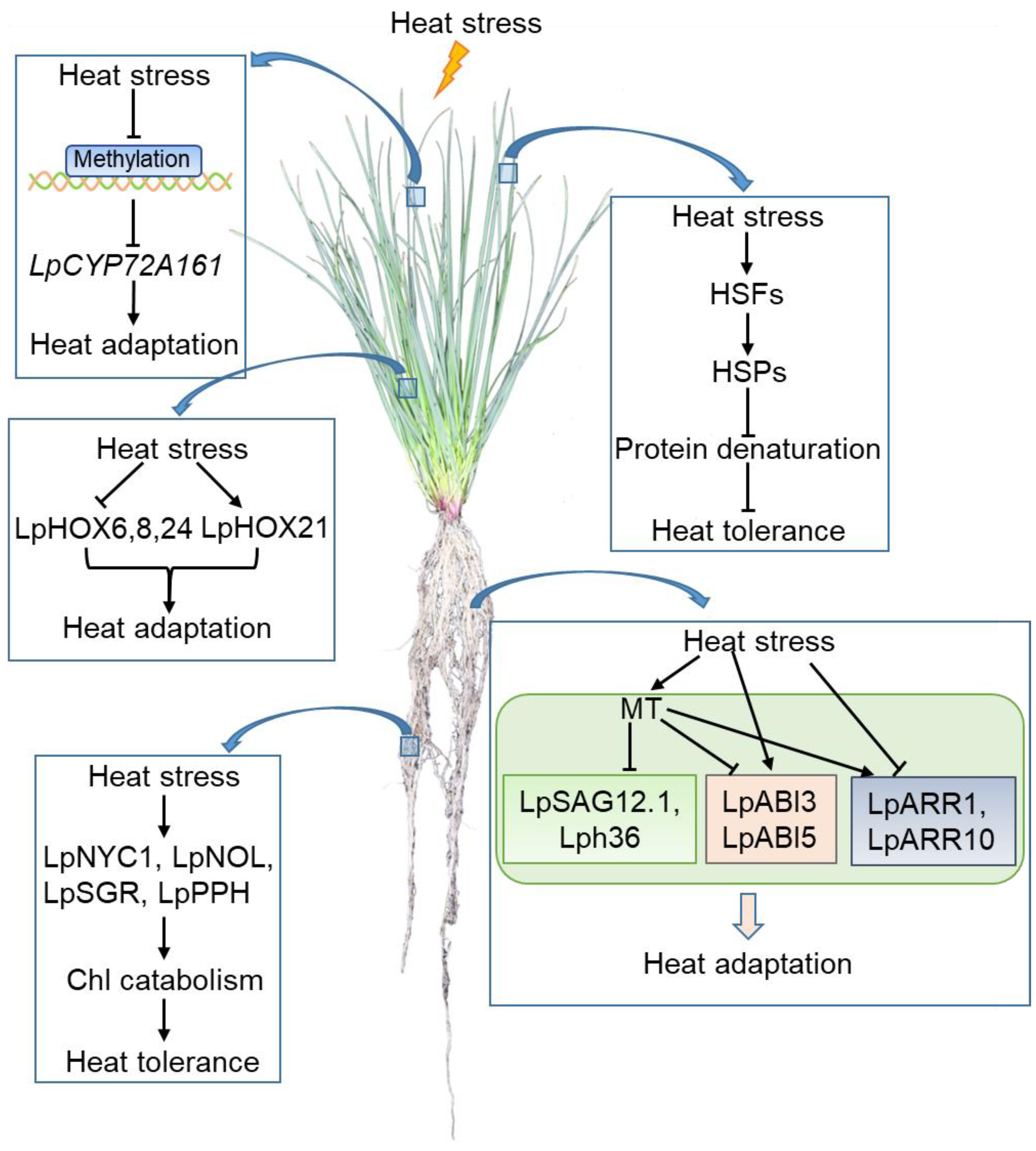 Life 12 00860 g004 Life 12 00860 g004