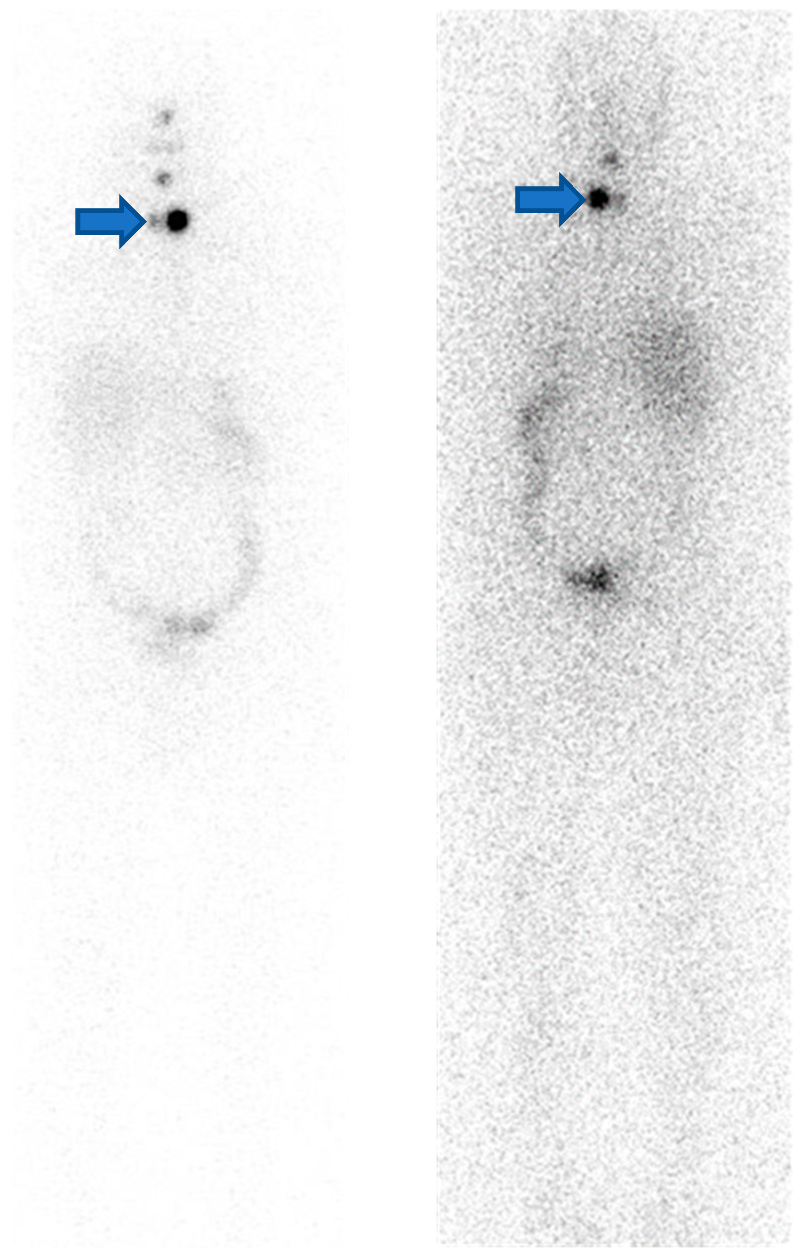 Life 12 00863 g001 Life 12 00863 g001