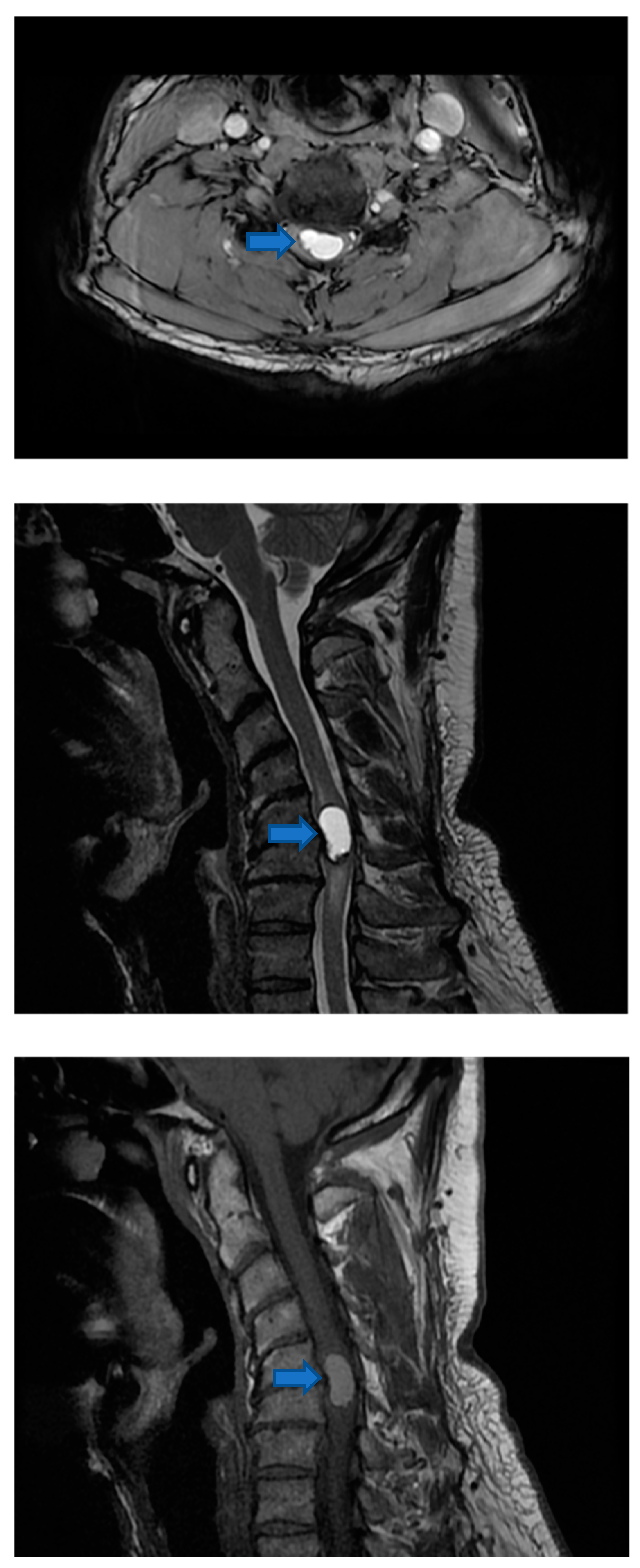 Life 12 00863 g002 Life 12 00863 g002