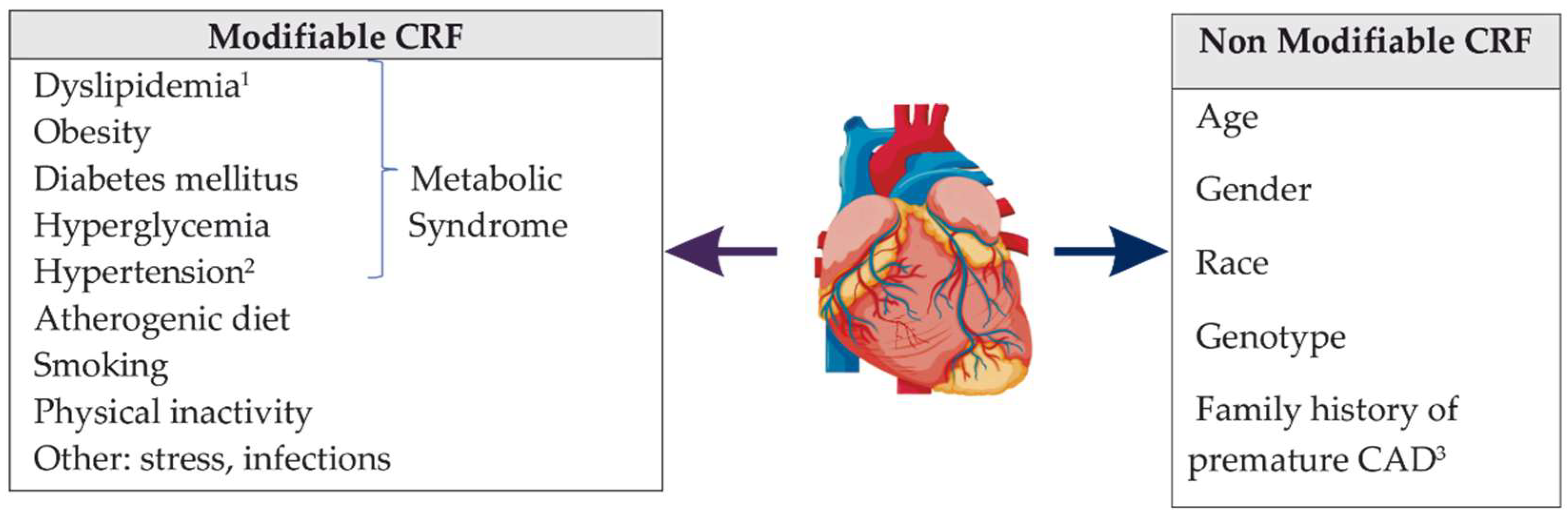 Prediction of Coronary Heart Disease Using Risk Factor Categories