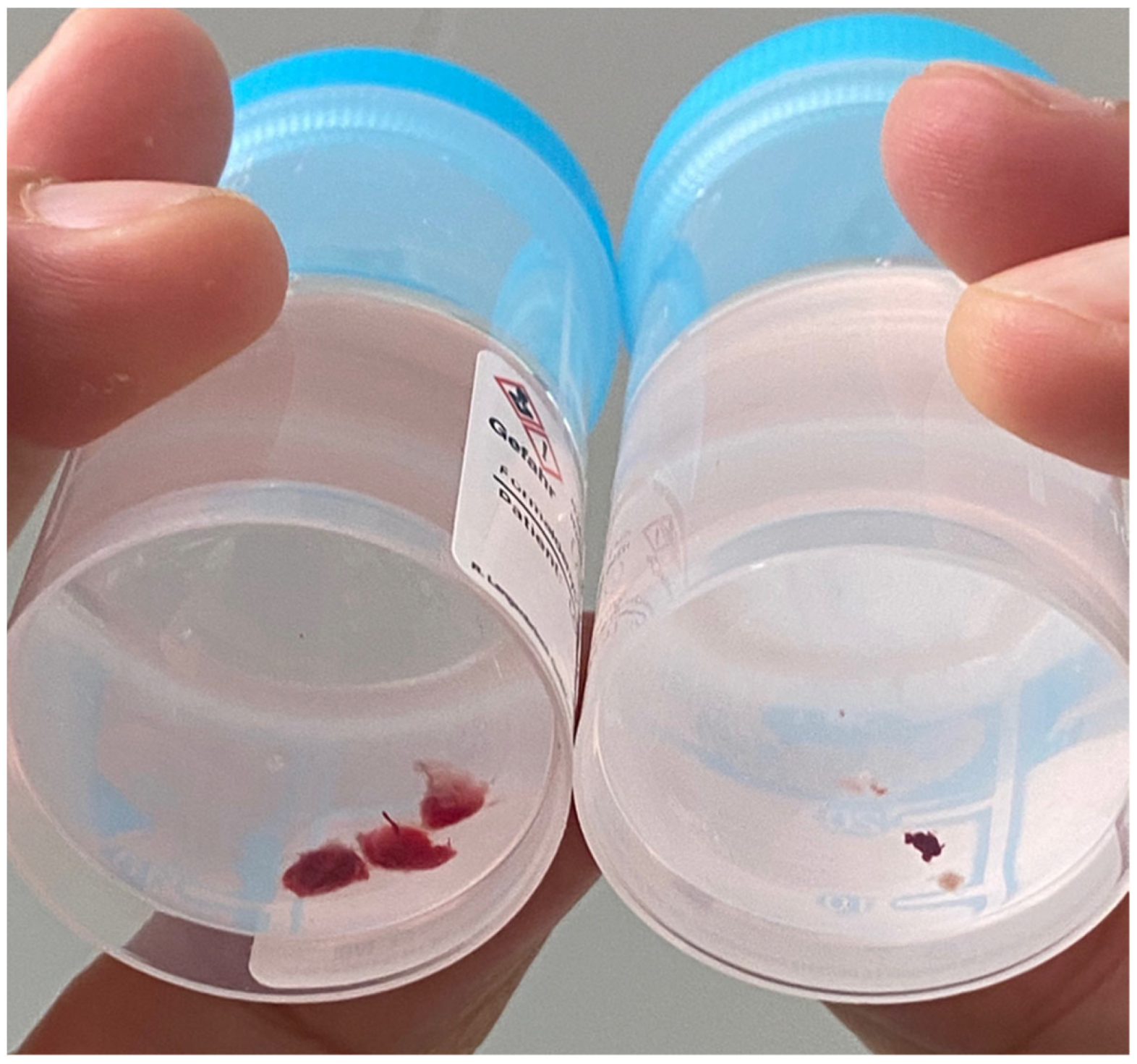 Life 12 00898 g001 550