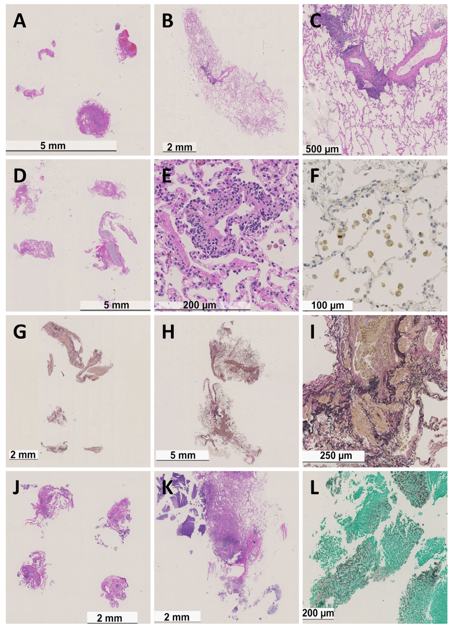 Life 12 00898 g002 550