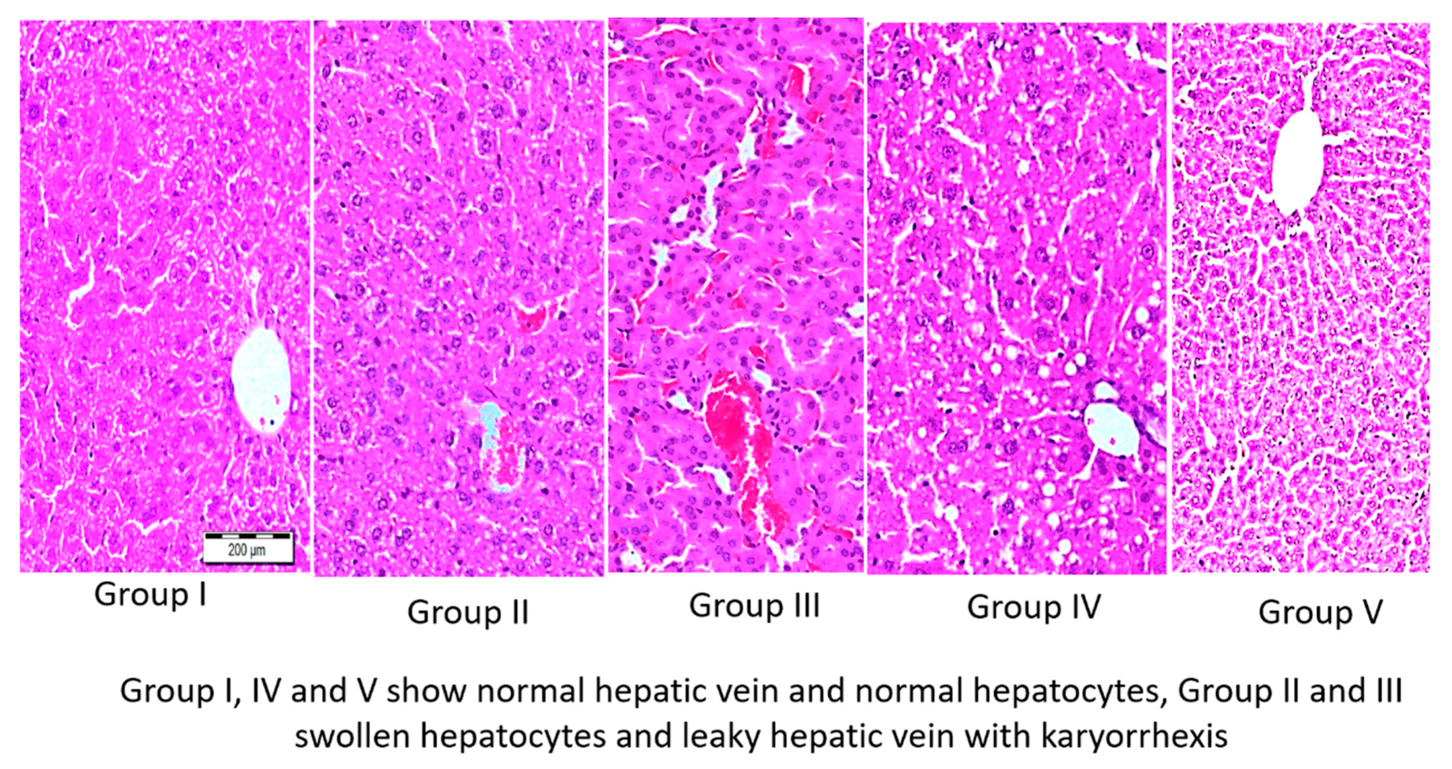 Life 12 00900 g004 550