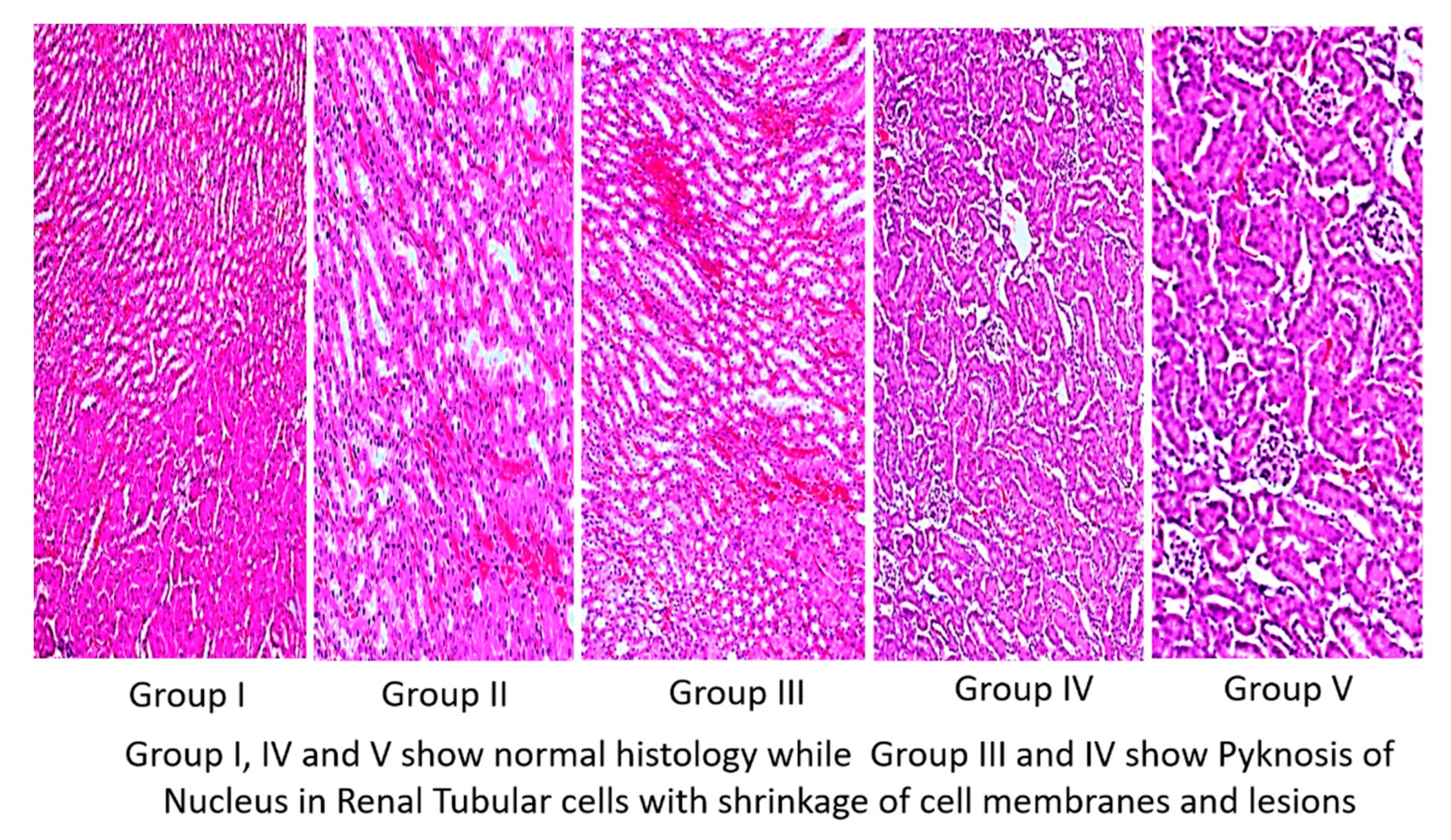 Life 12 00900 g005 550