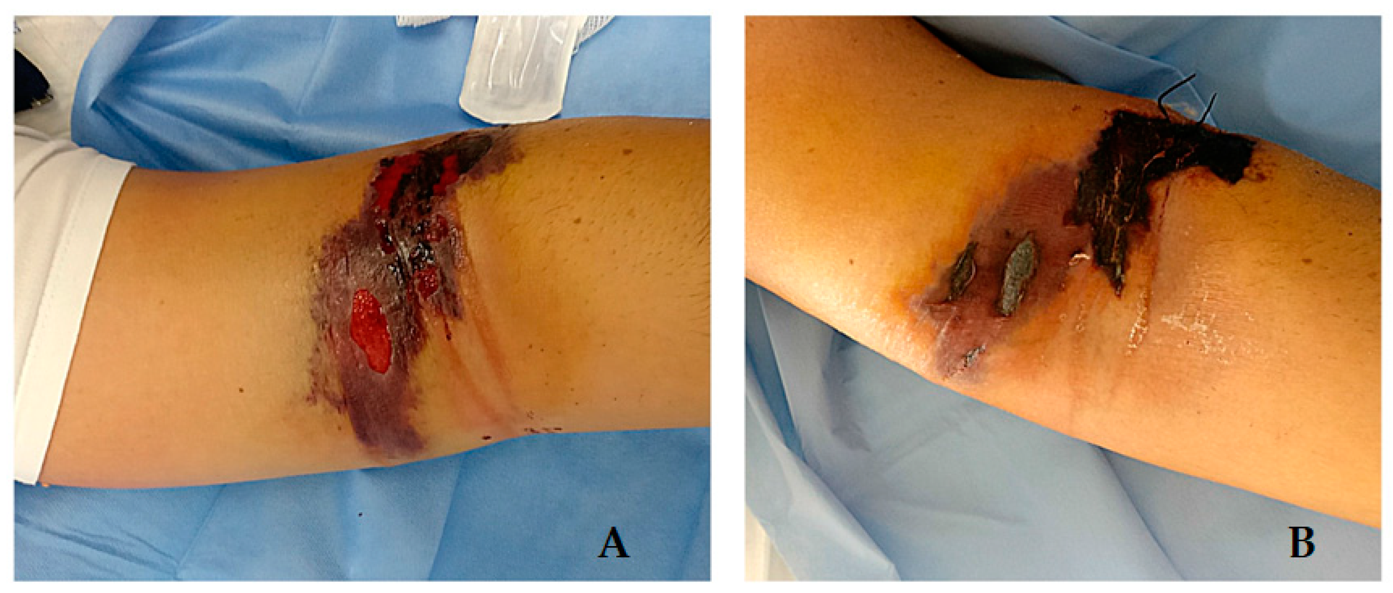 Life 12 00909 g001 550