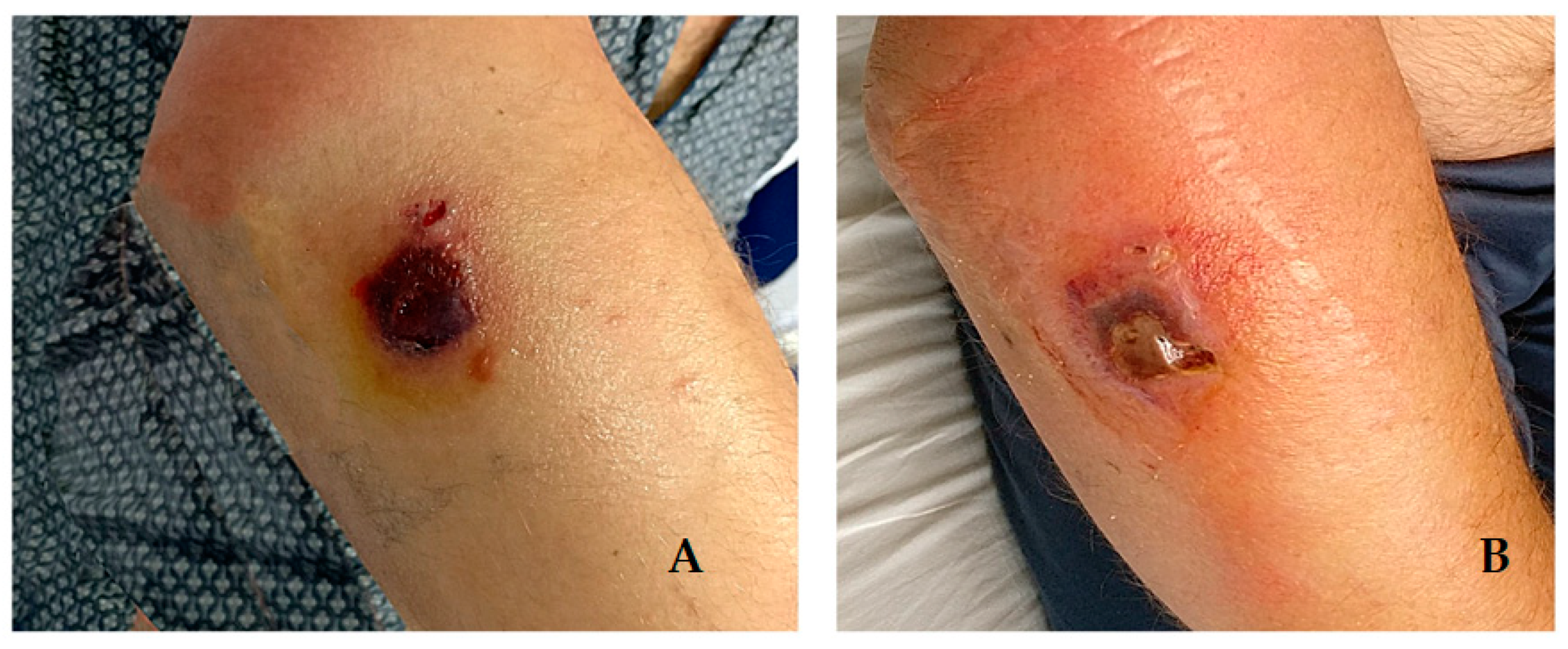 Life 12 00909 g002 550