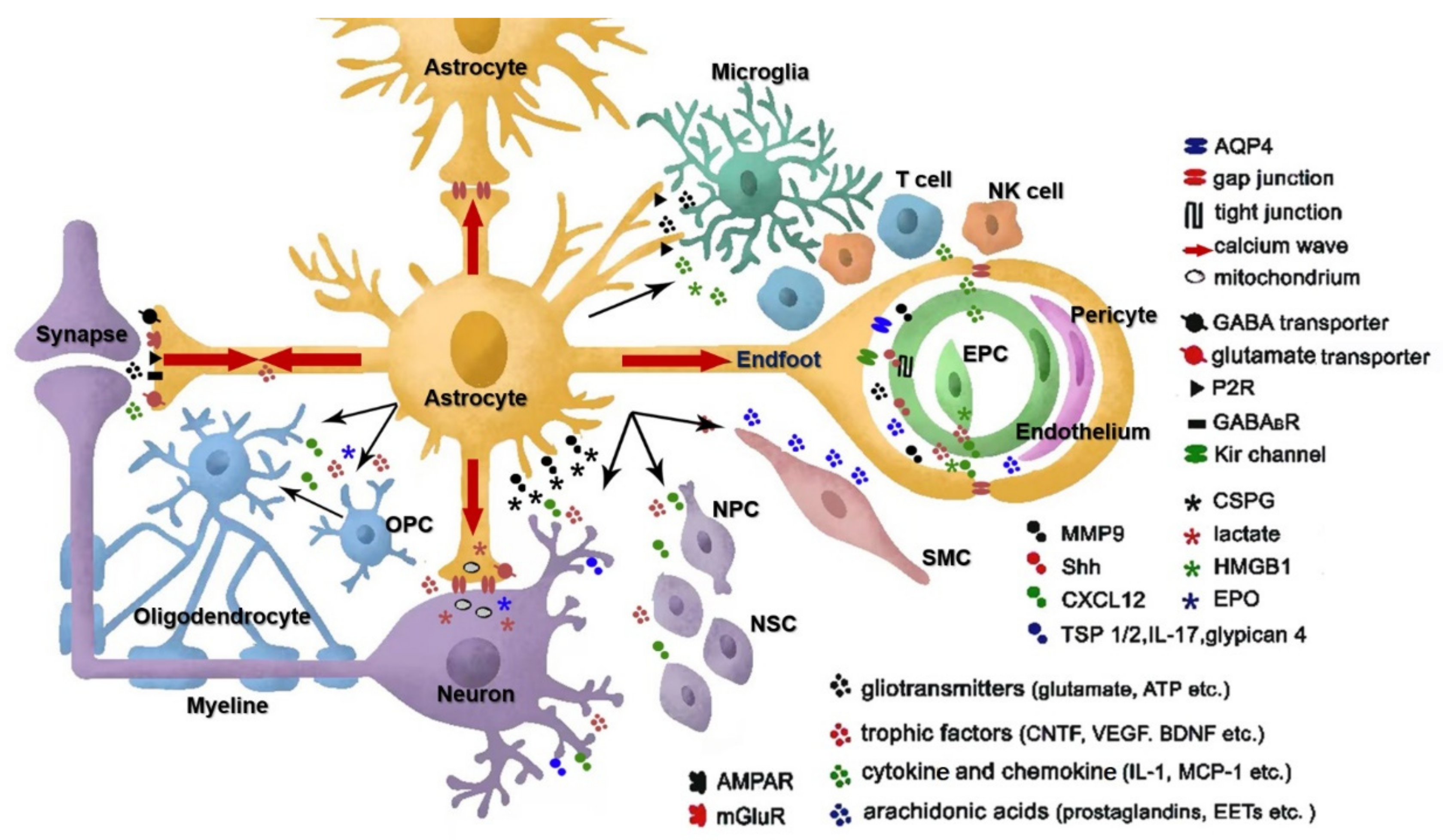 Life 12 00910 g002 550