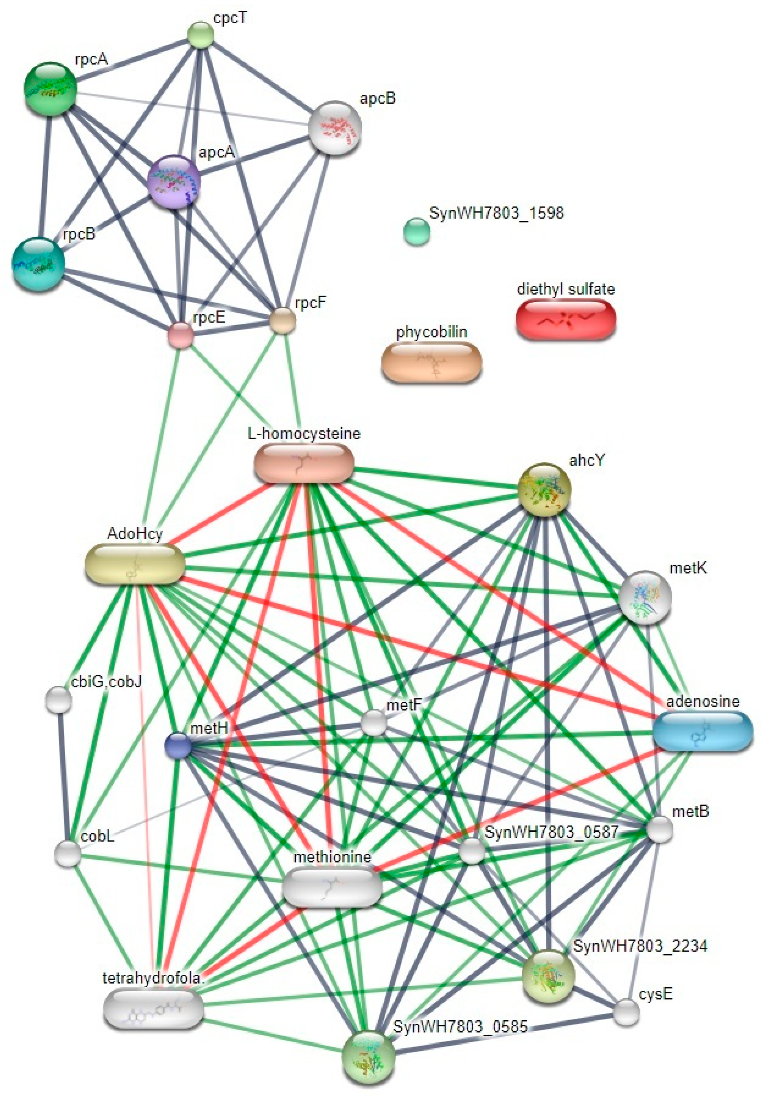 Life 12 00911 g003 550