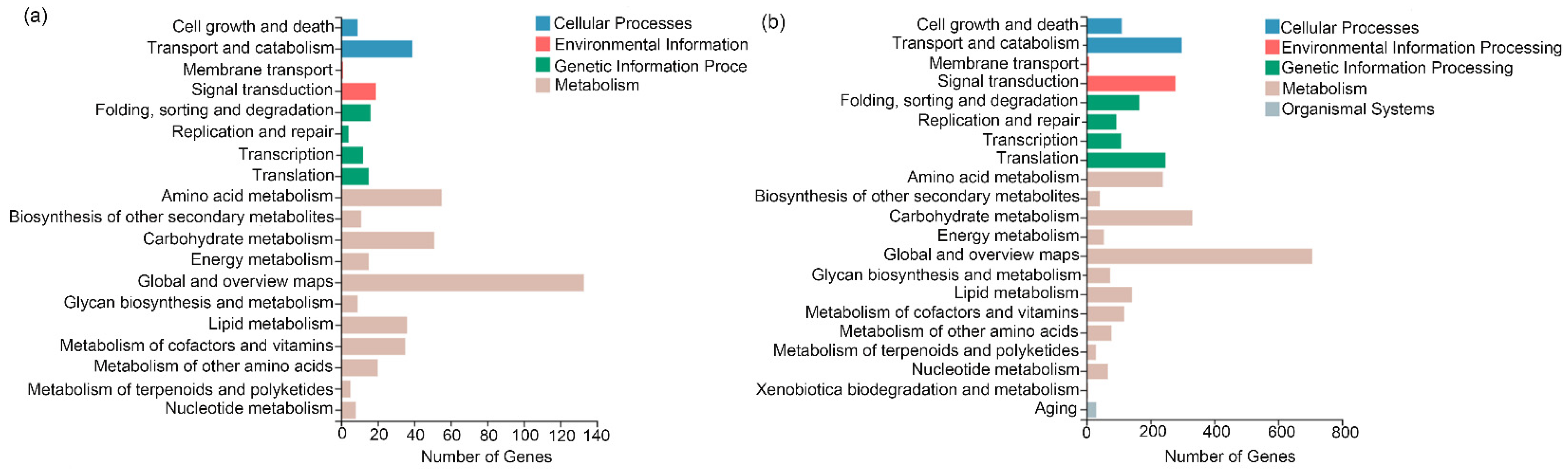 Life 12 00915 g004 550