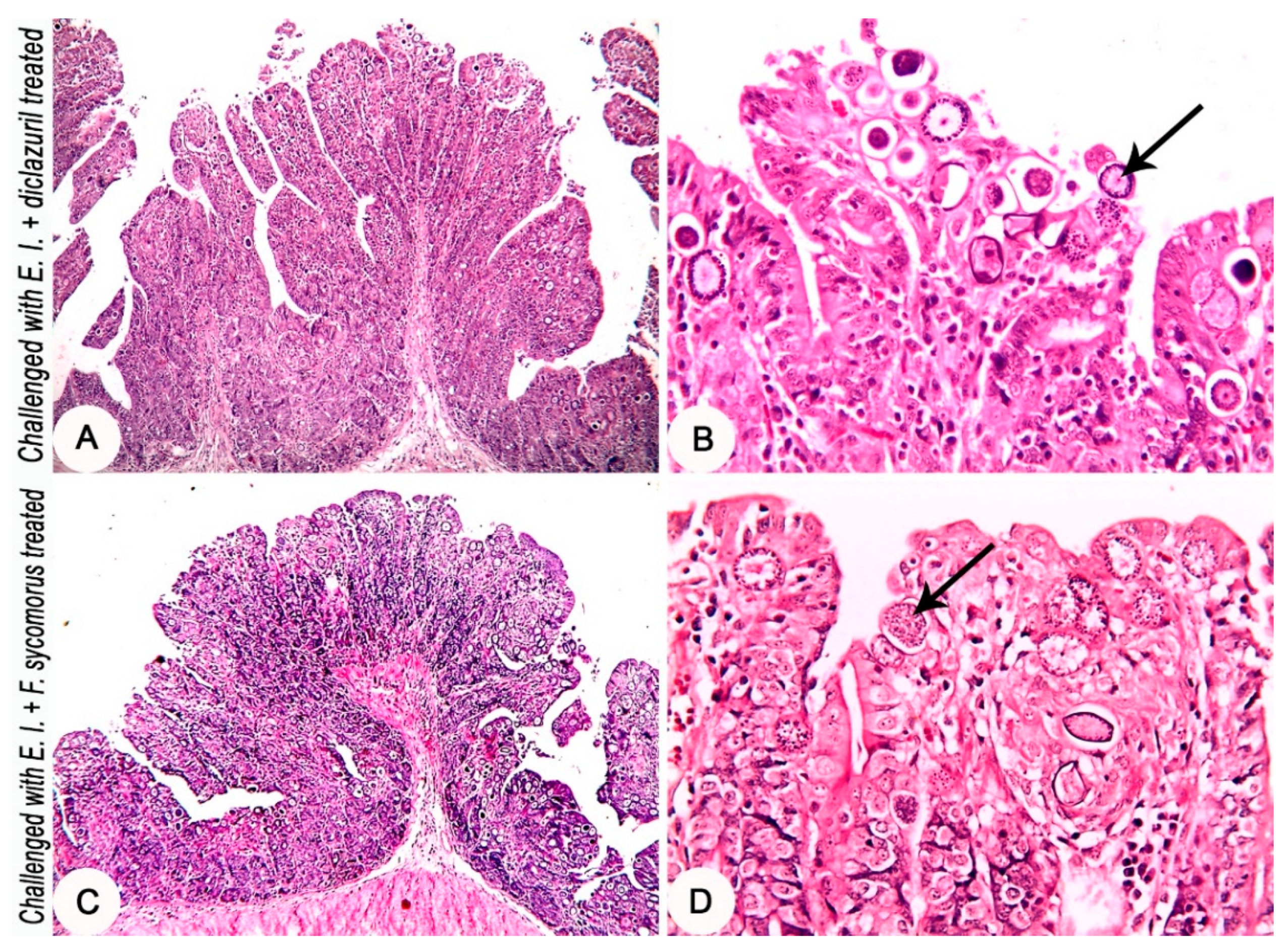 Life 12 00917 g004 Life 12 00917 g004