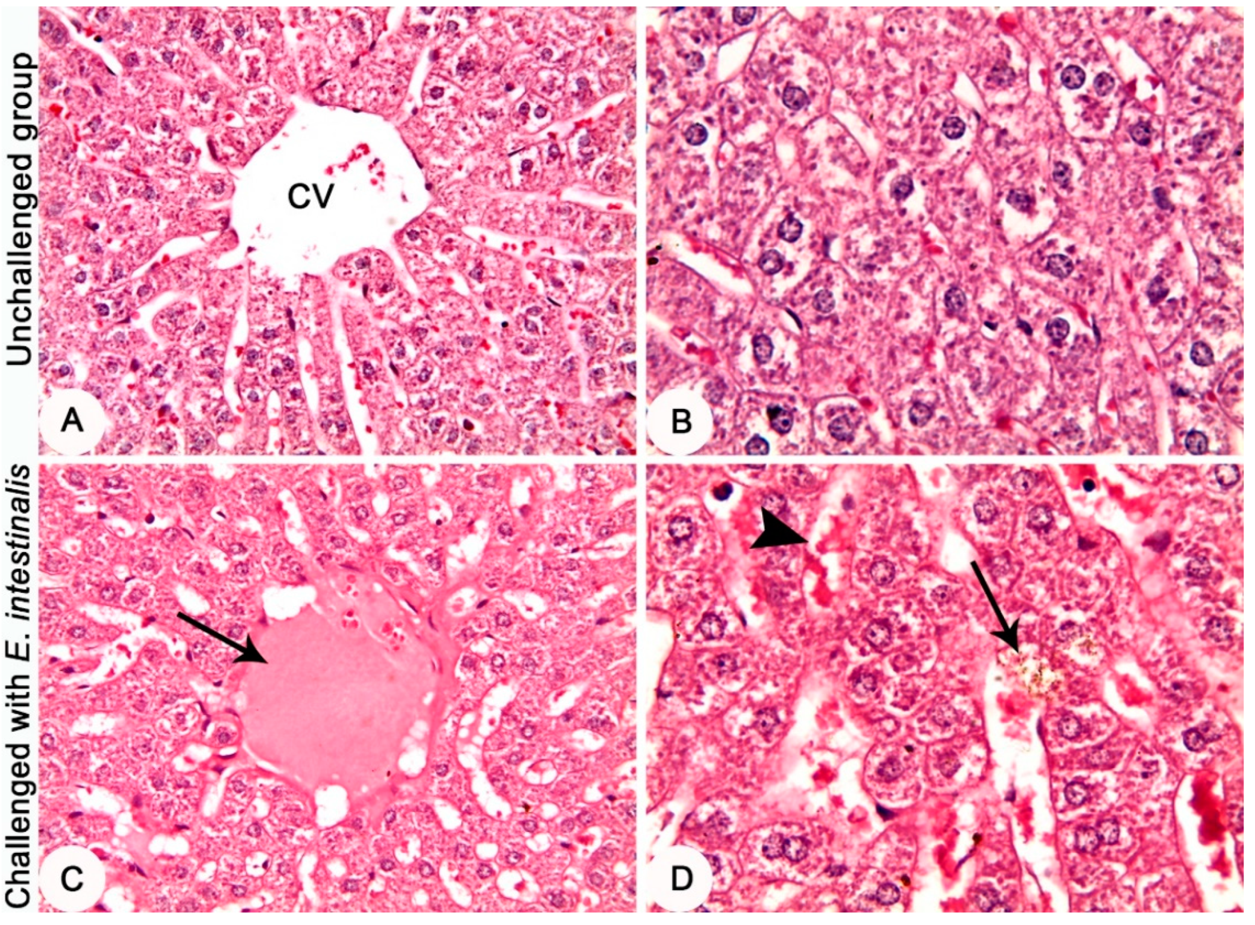 Life 12 00917 g005 Life 12 00917 g005