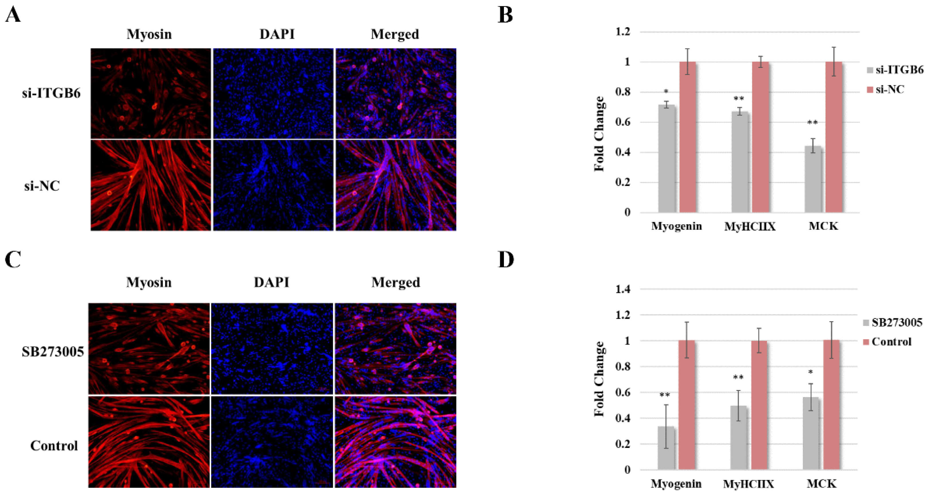 Life 12 00926 g002 550