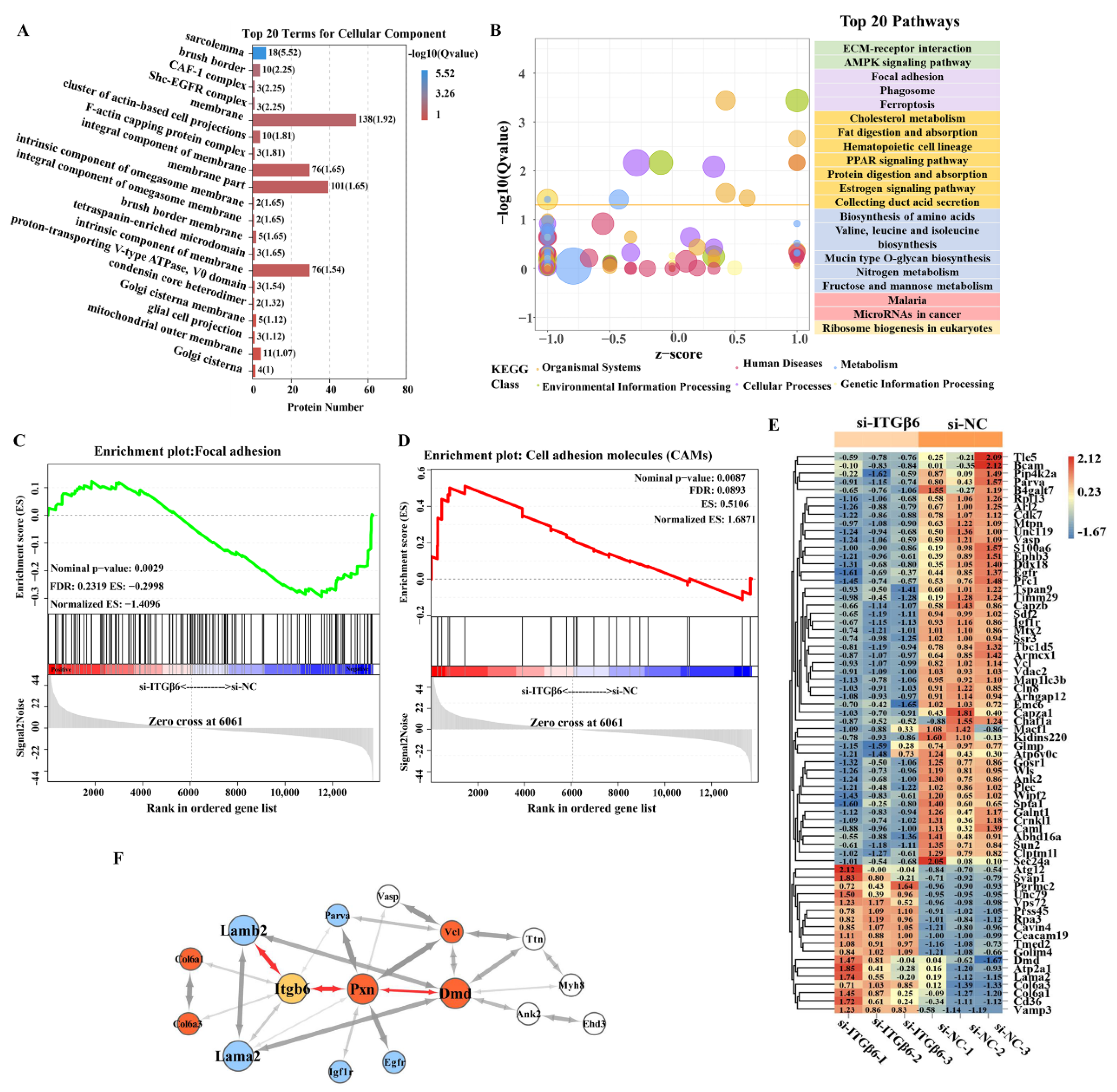 Life 12 00926 g003 550