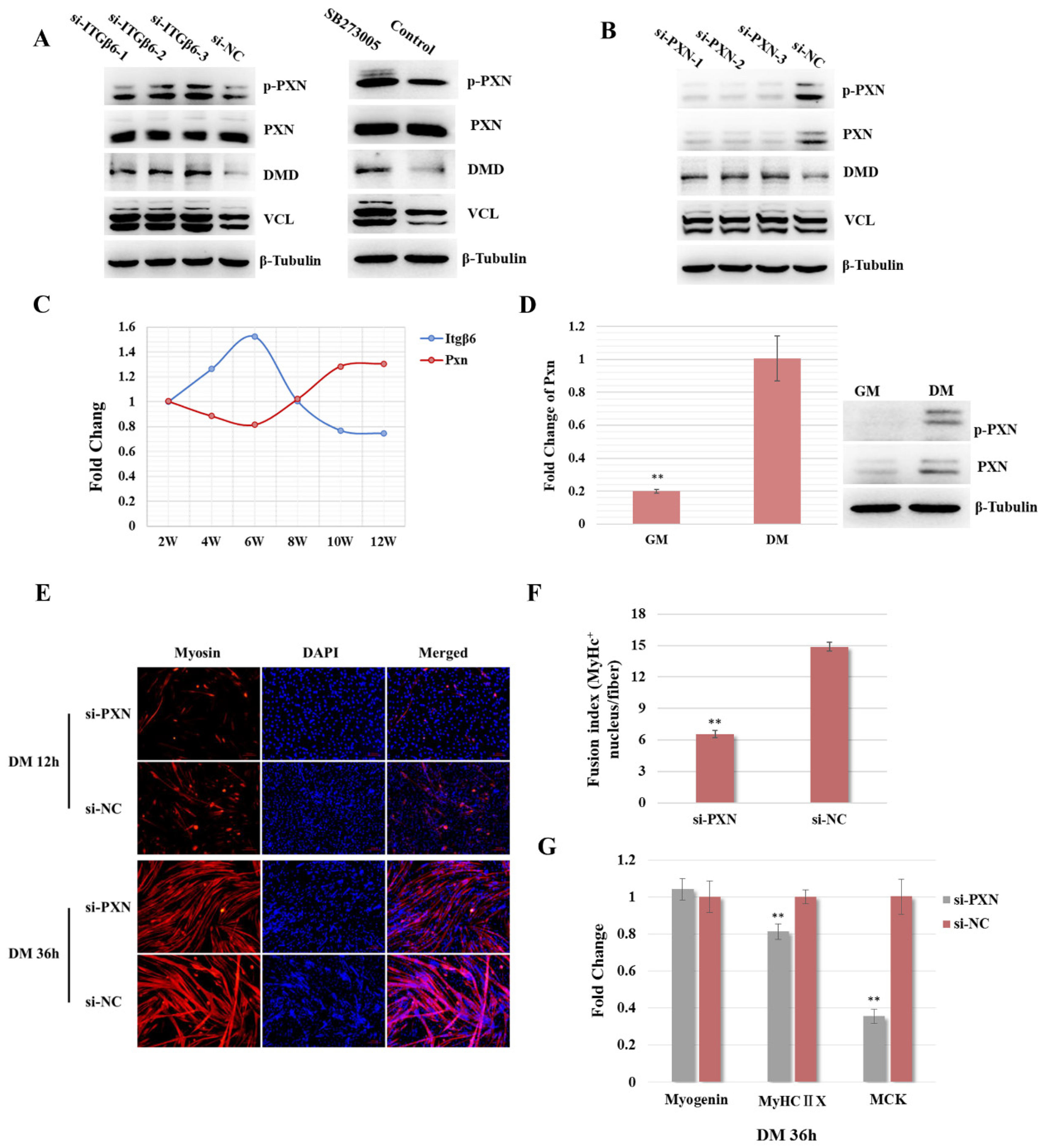 Life 12 00926 g004 550