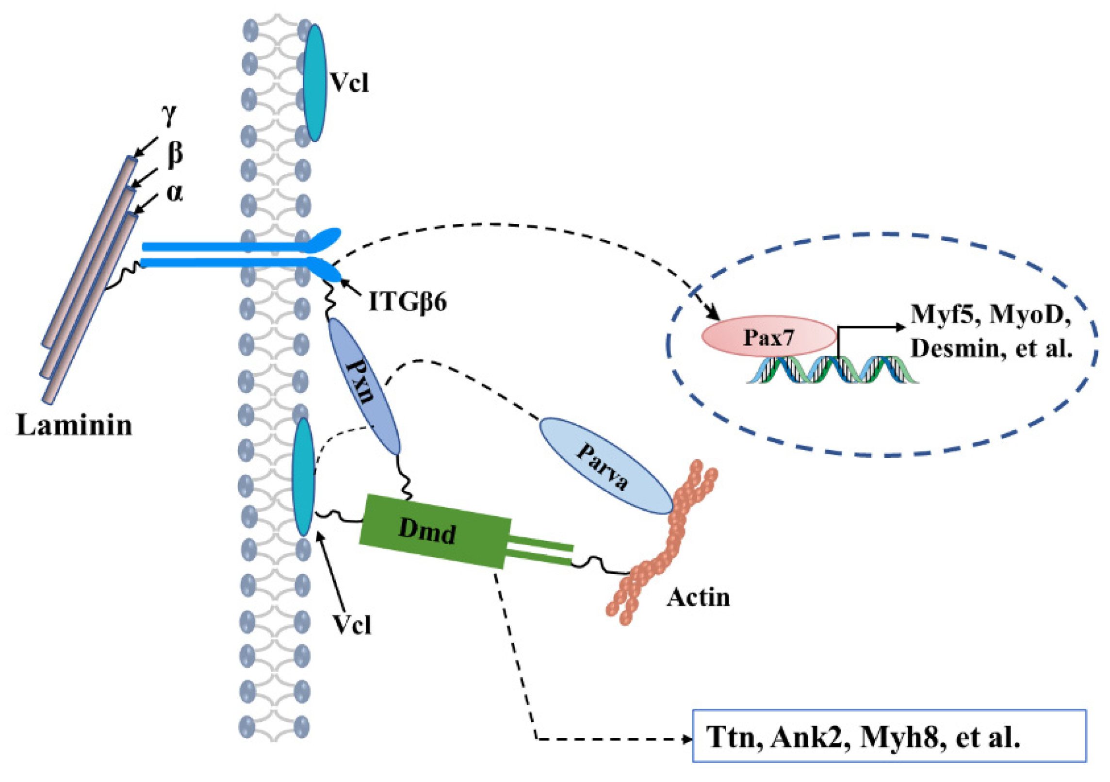 Life 12 00926 g006 550