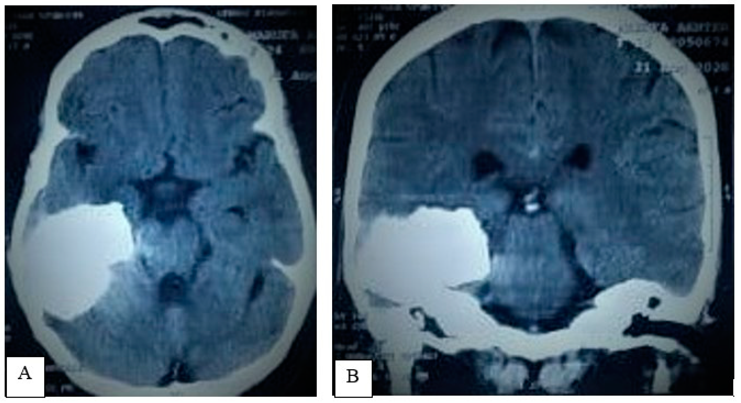 Life 12 00931 g002 Life 12 00931 g002