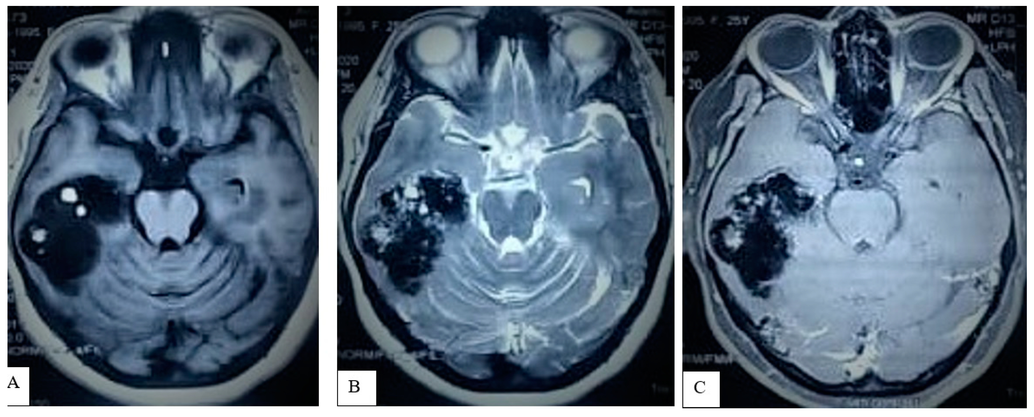 Life 12 00931 g003 Life 12 00931 g003