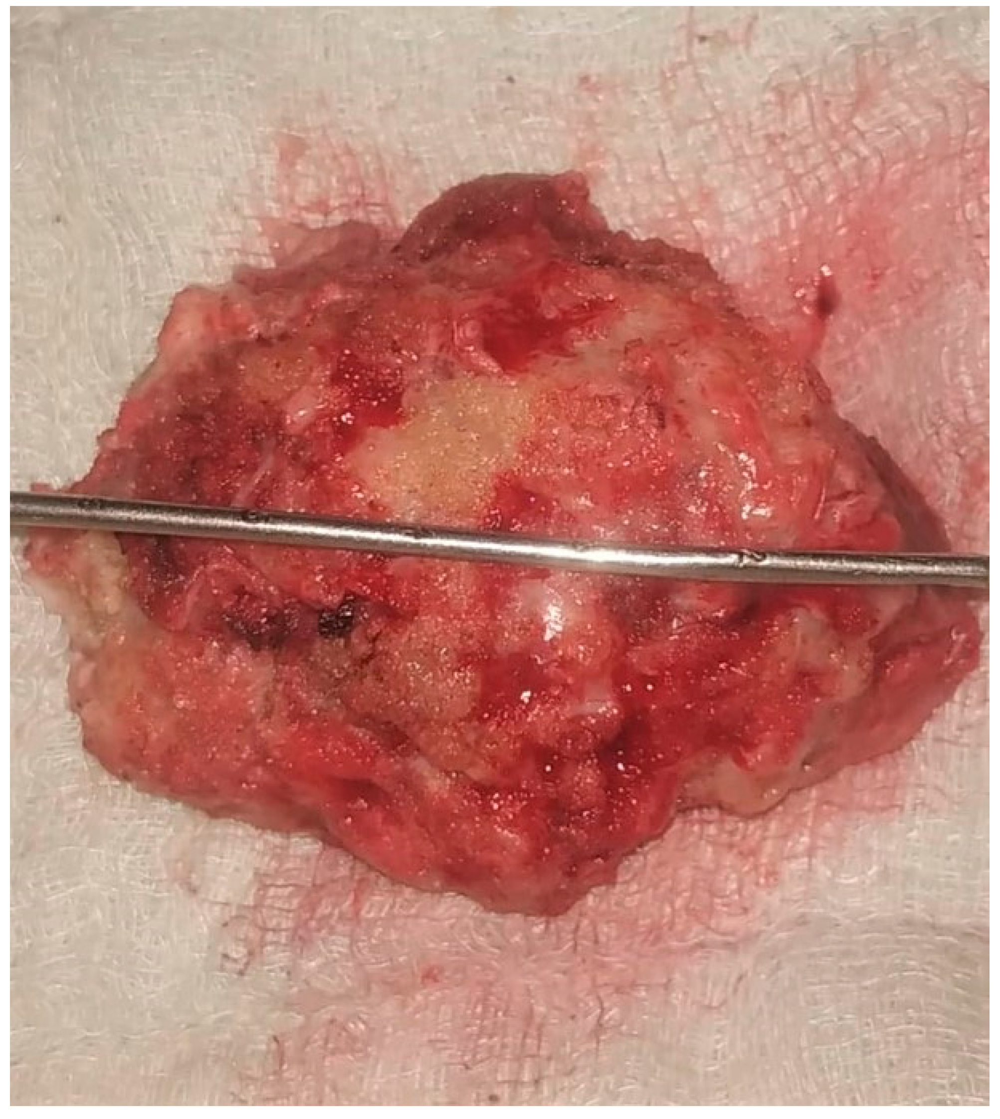 Life 12 00931 g005 Life 12 00931 g005