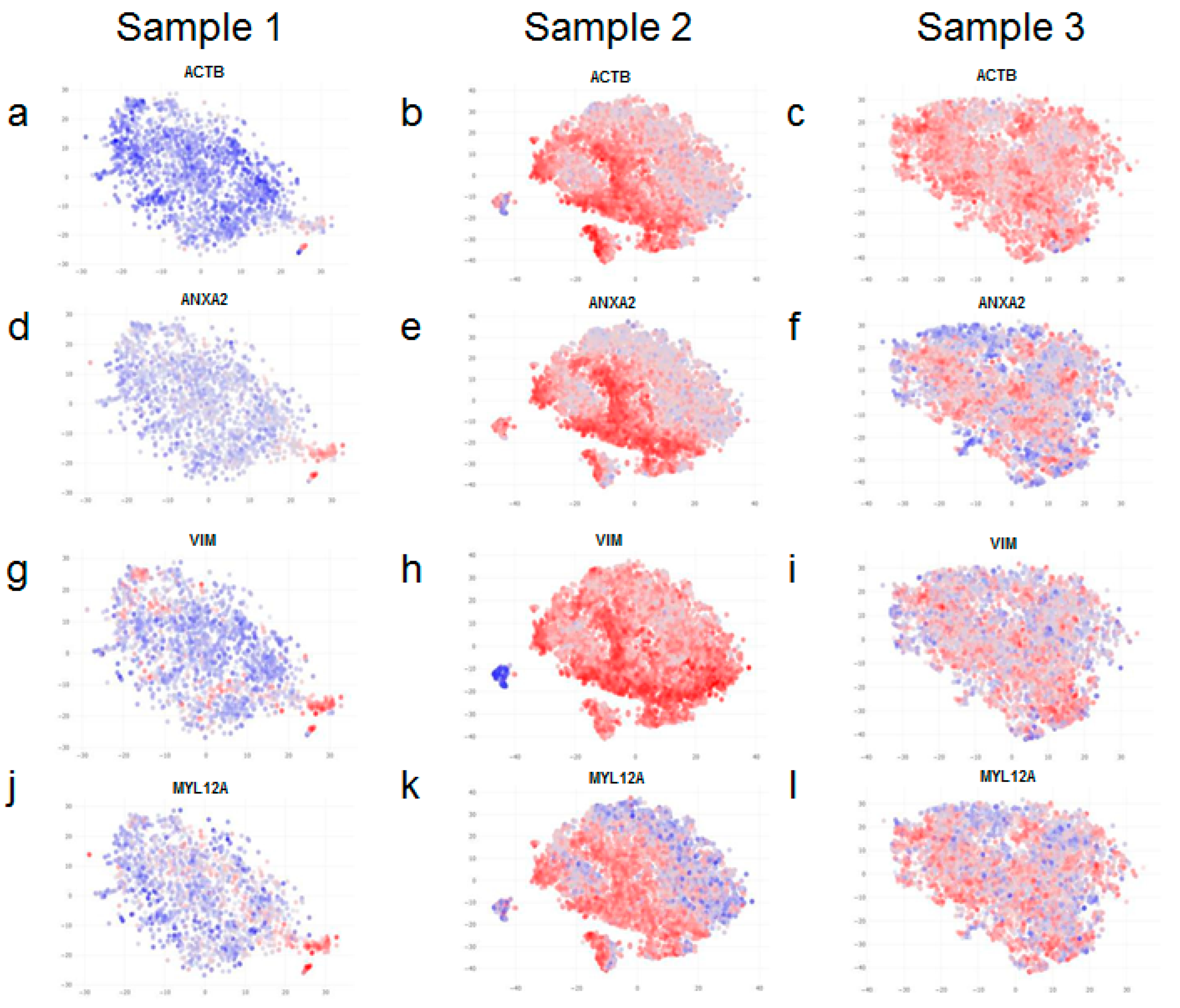 Life 12 00935 g004 550