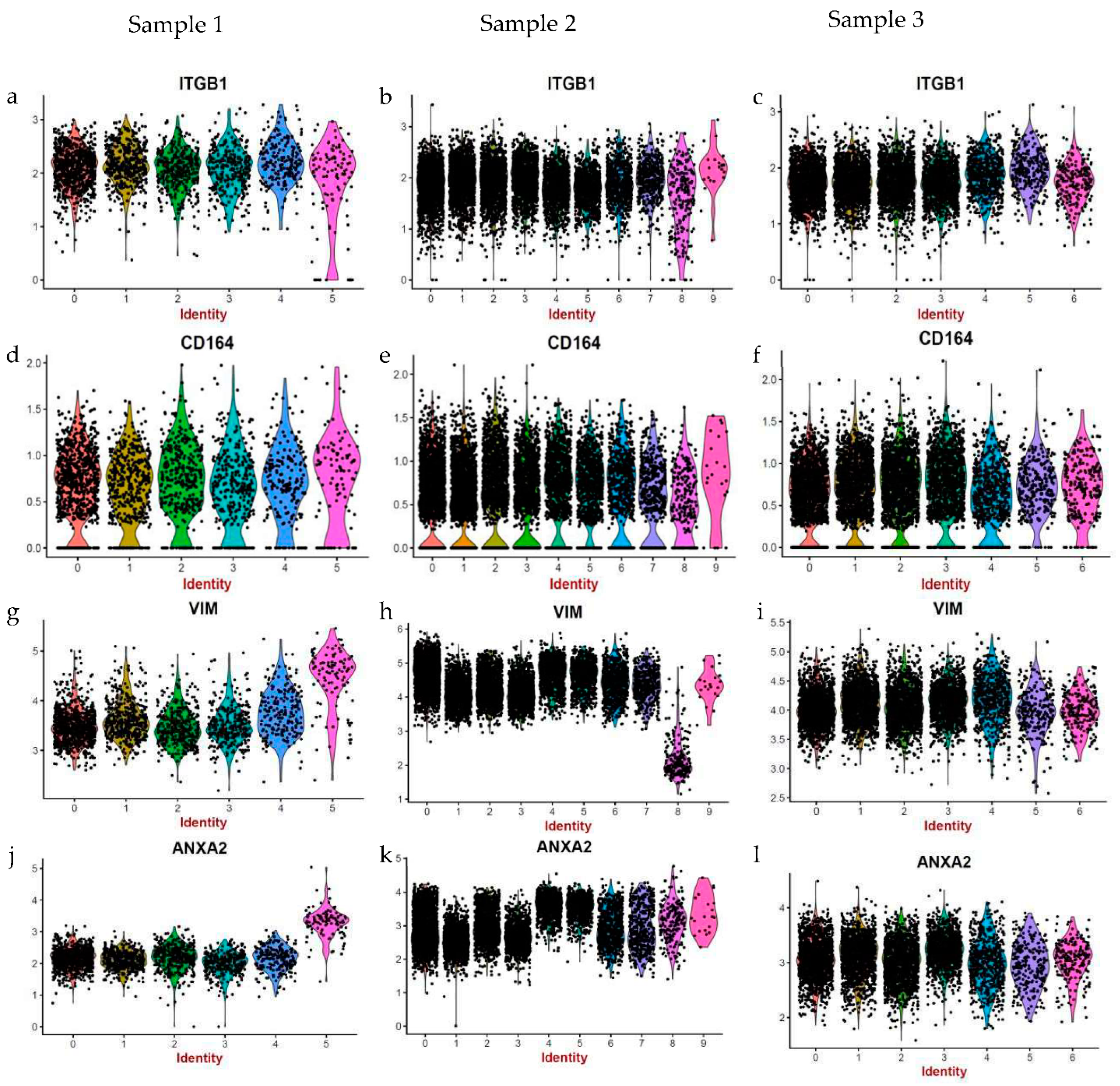 Life 12 00935 g005 550