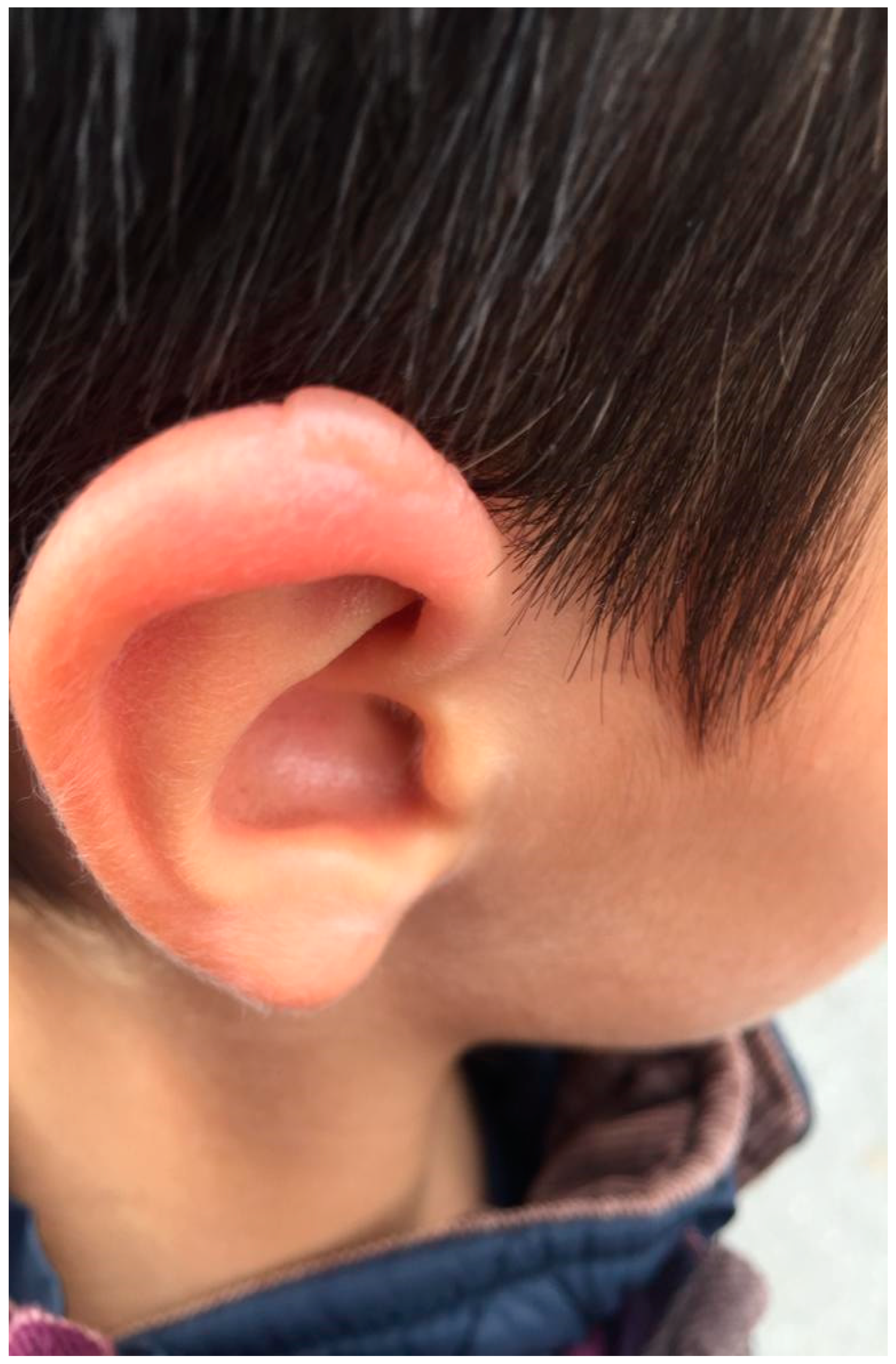 Life 12 00940 g001 Life 12 00940 g001