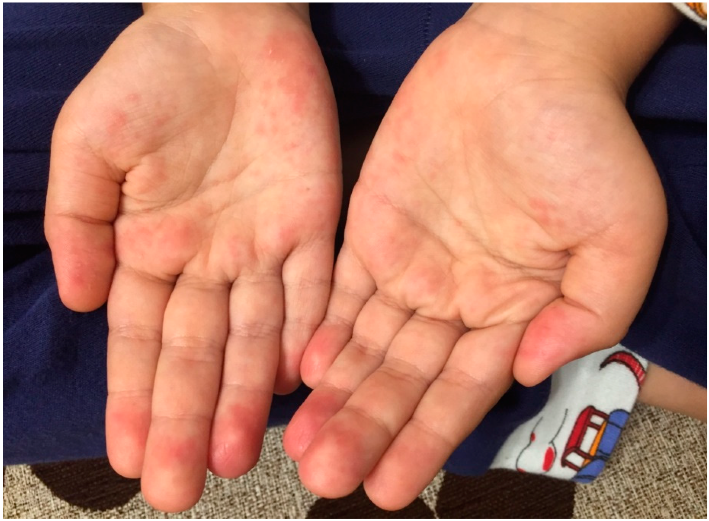 Life 12 00940 g002 Life 12 00940 g002