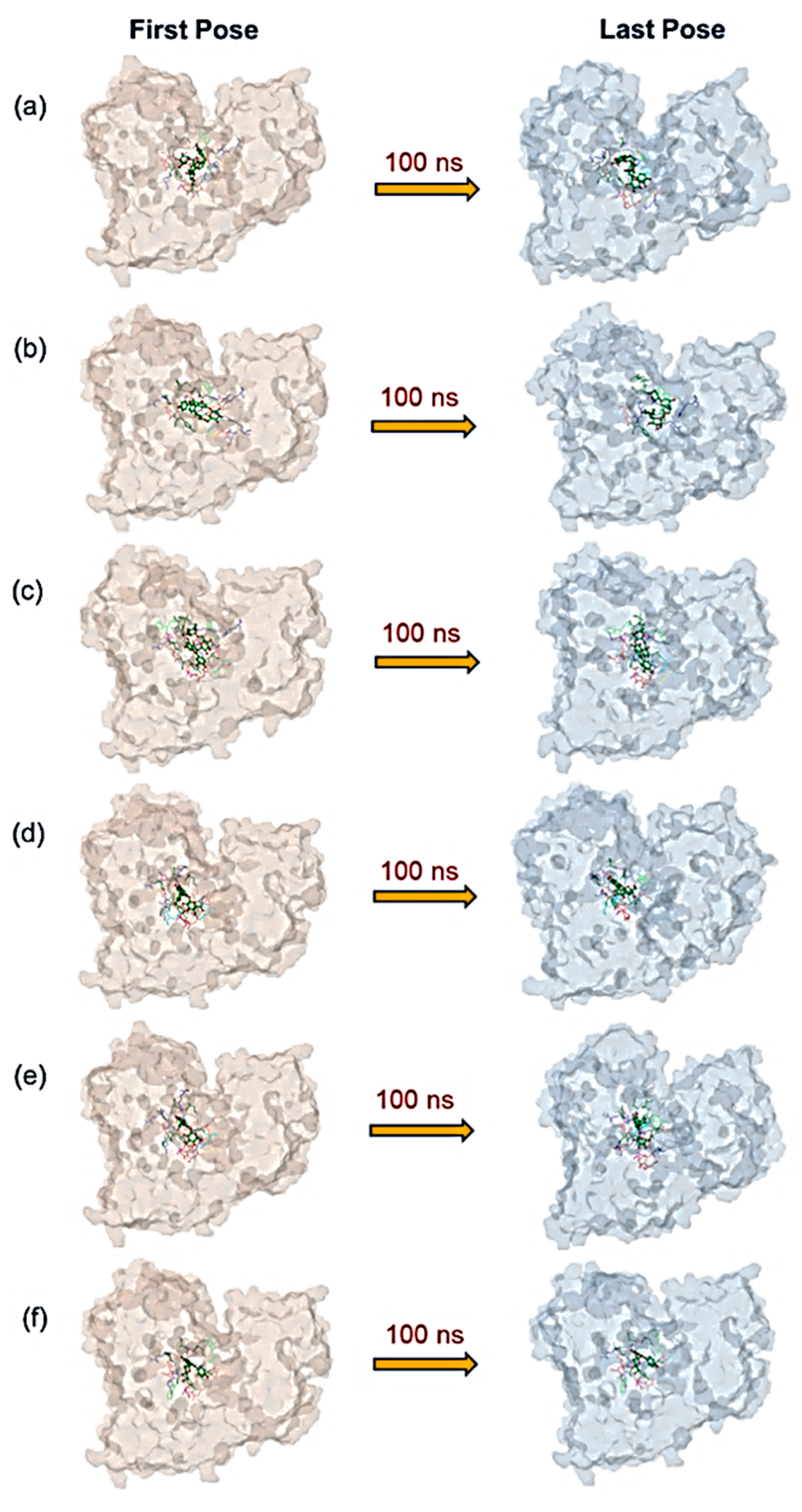 Life 12 00952 g002 Life 12 00952 g002