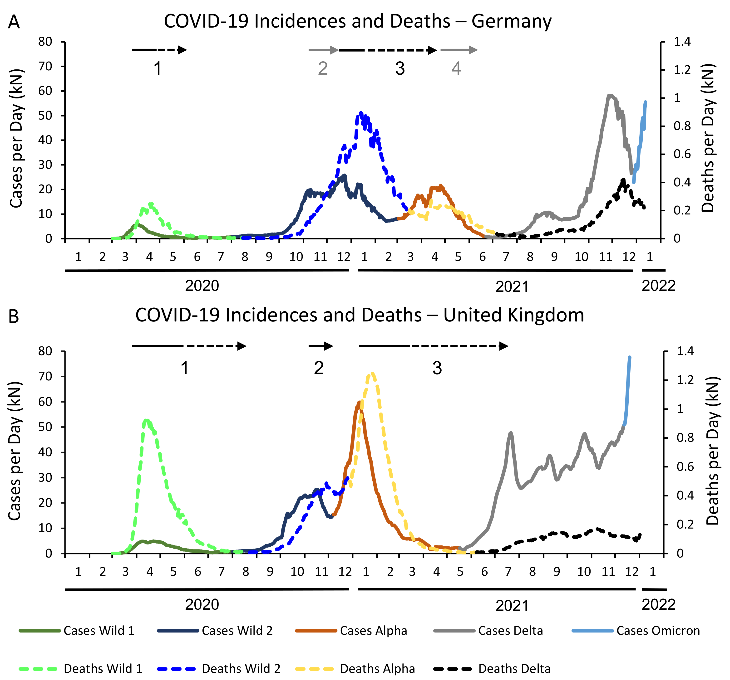 Life 12 00953 g001 550