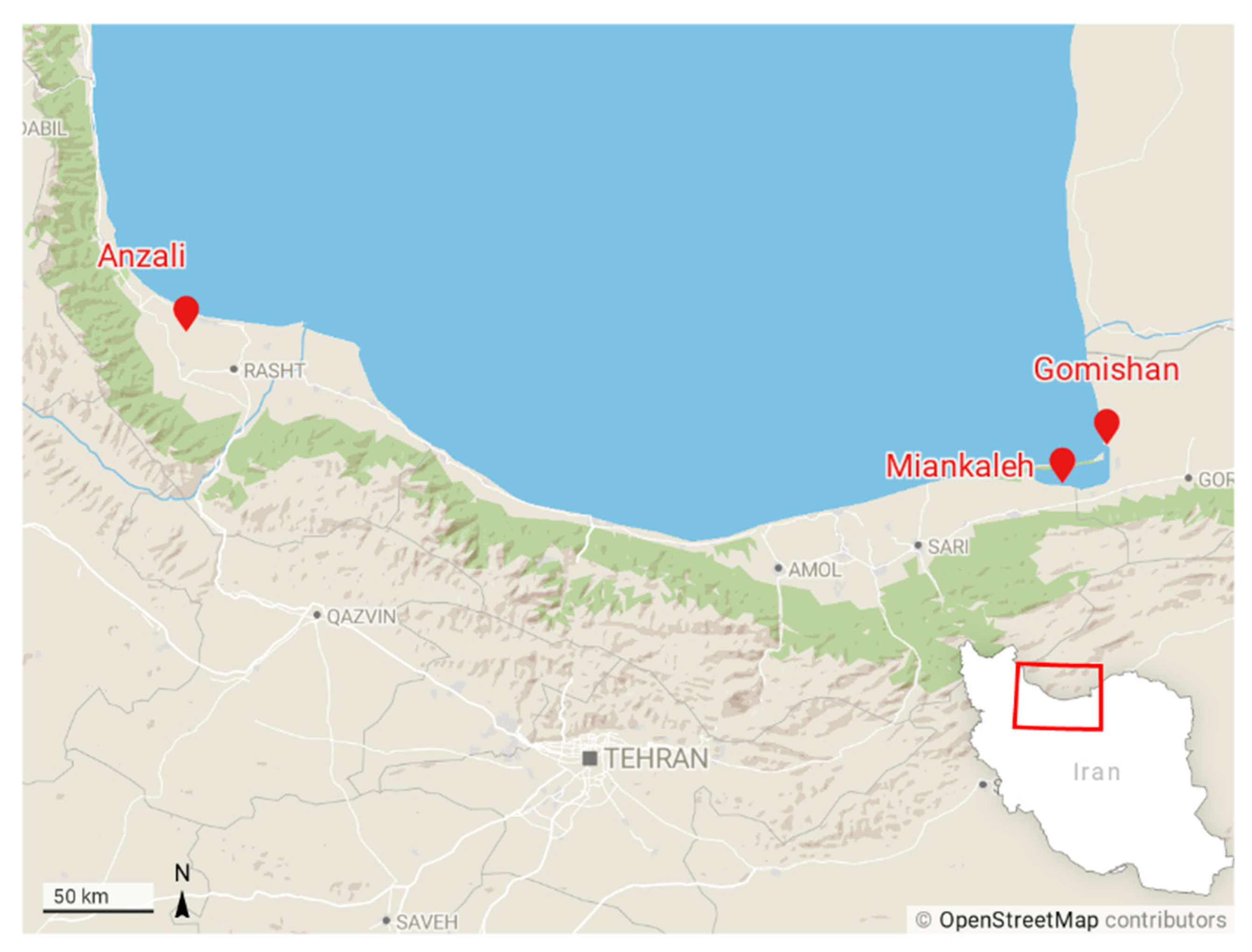 Machine Learning Based Classification of Microsatellite Variation