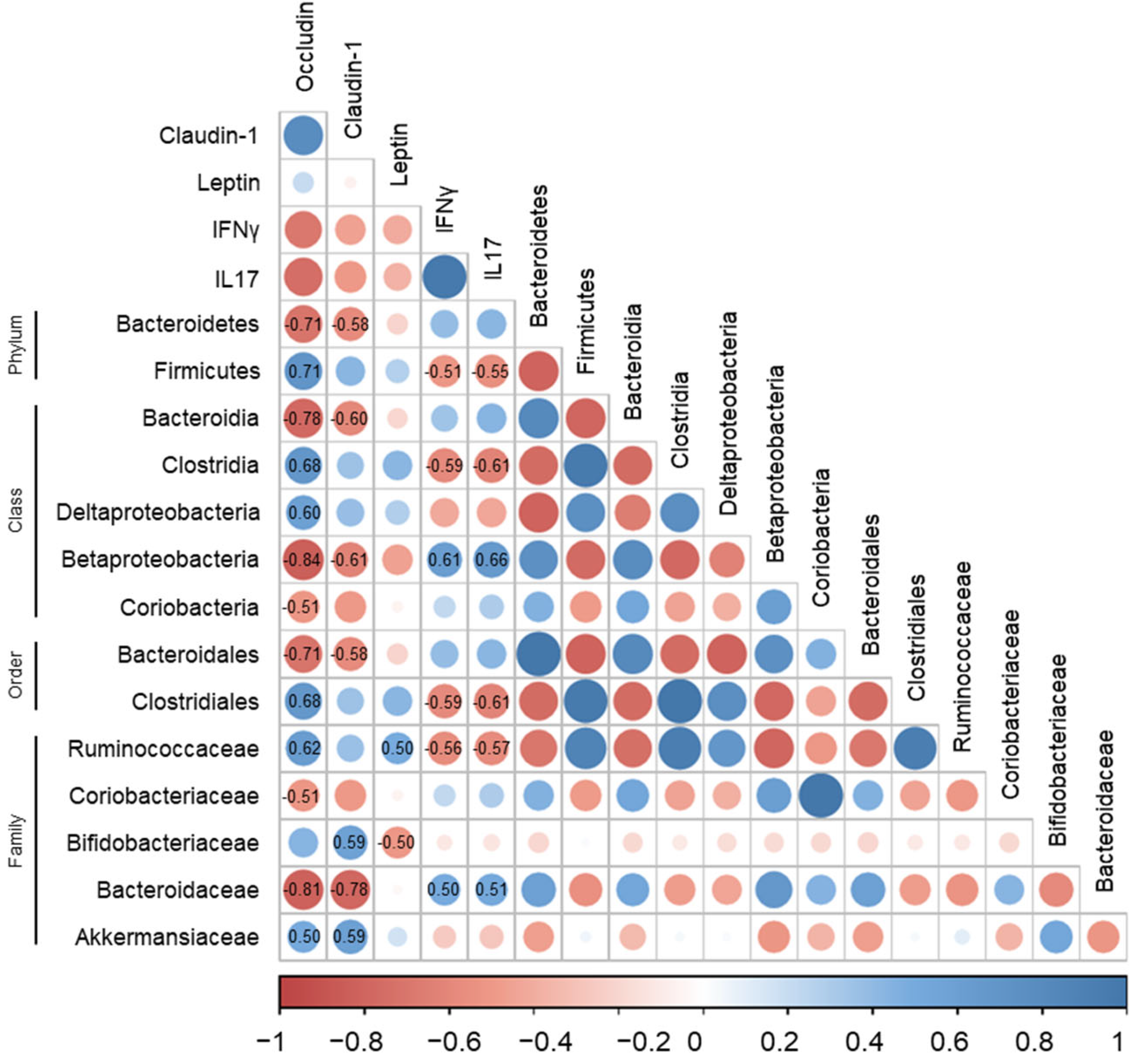 Life 12 00972 g006 550