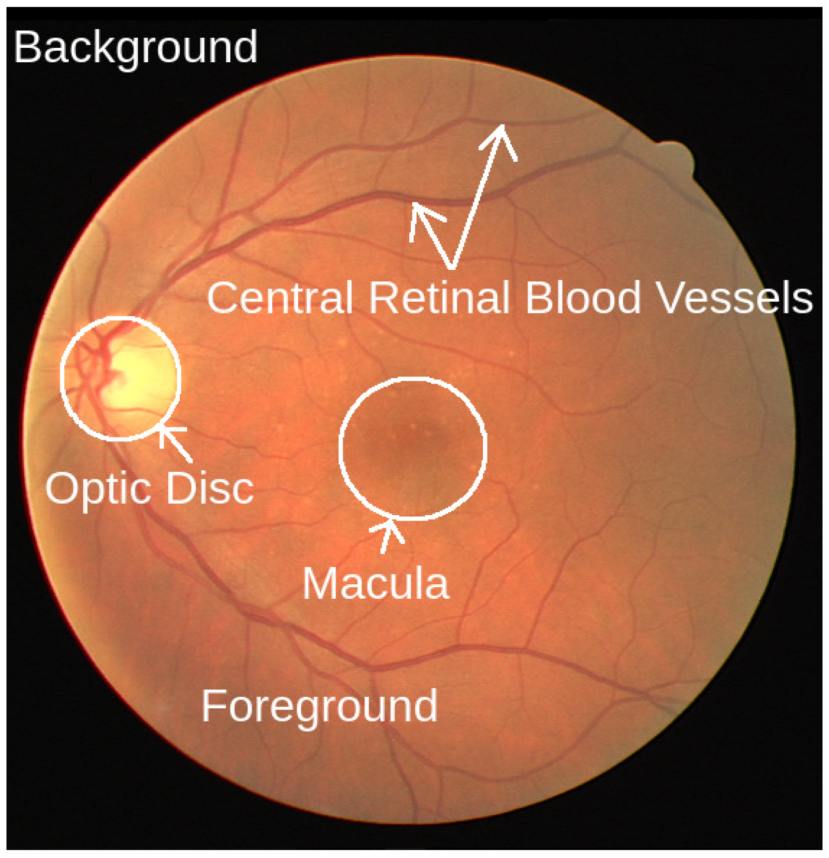 Life 12 00973 g002 Life 12 00973 g002