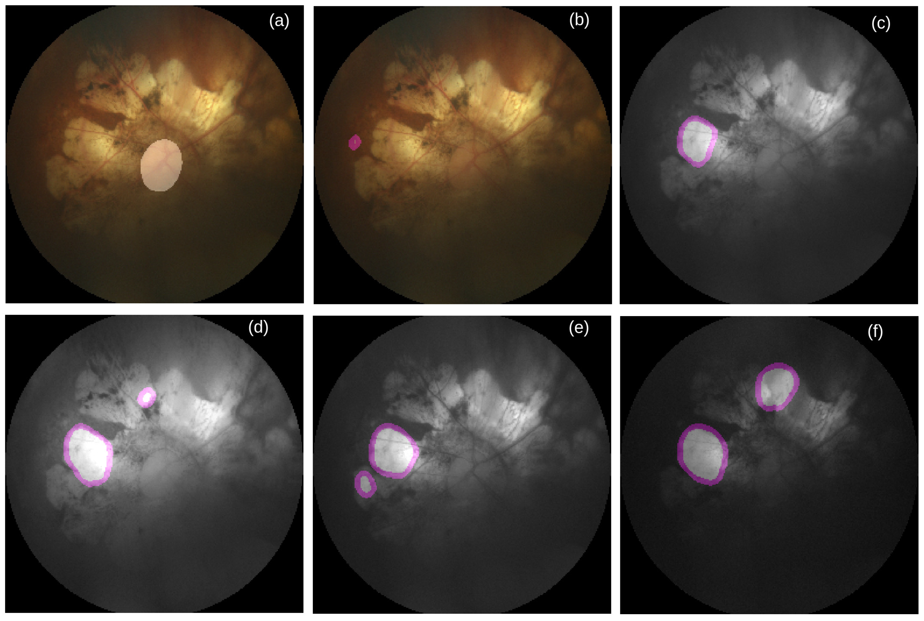 Life 12 00973 g005 Life 12 00973 g005