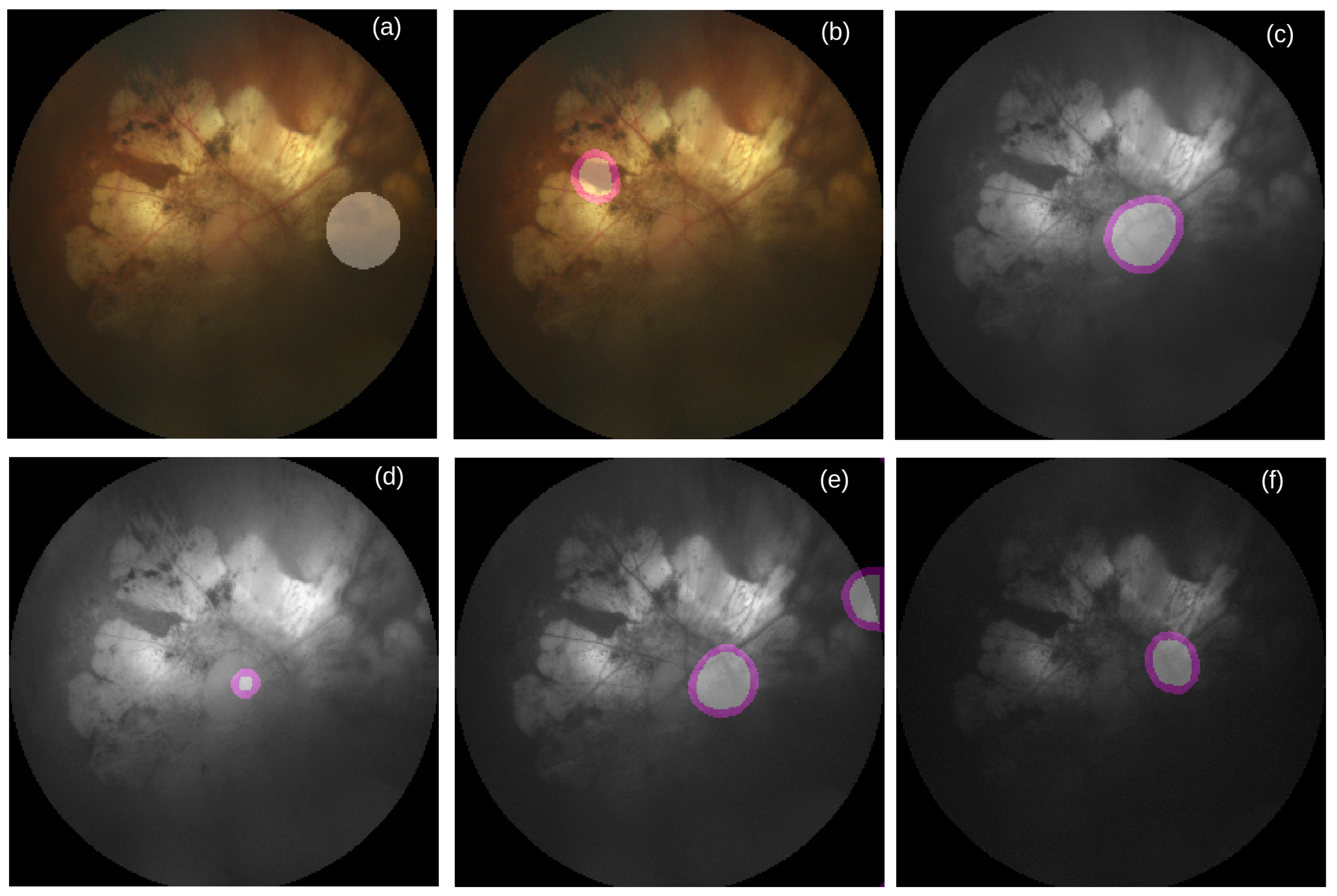 Life 12 00973 g006 Life 12 00973 g006