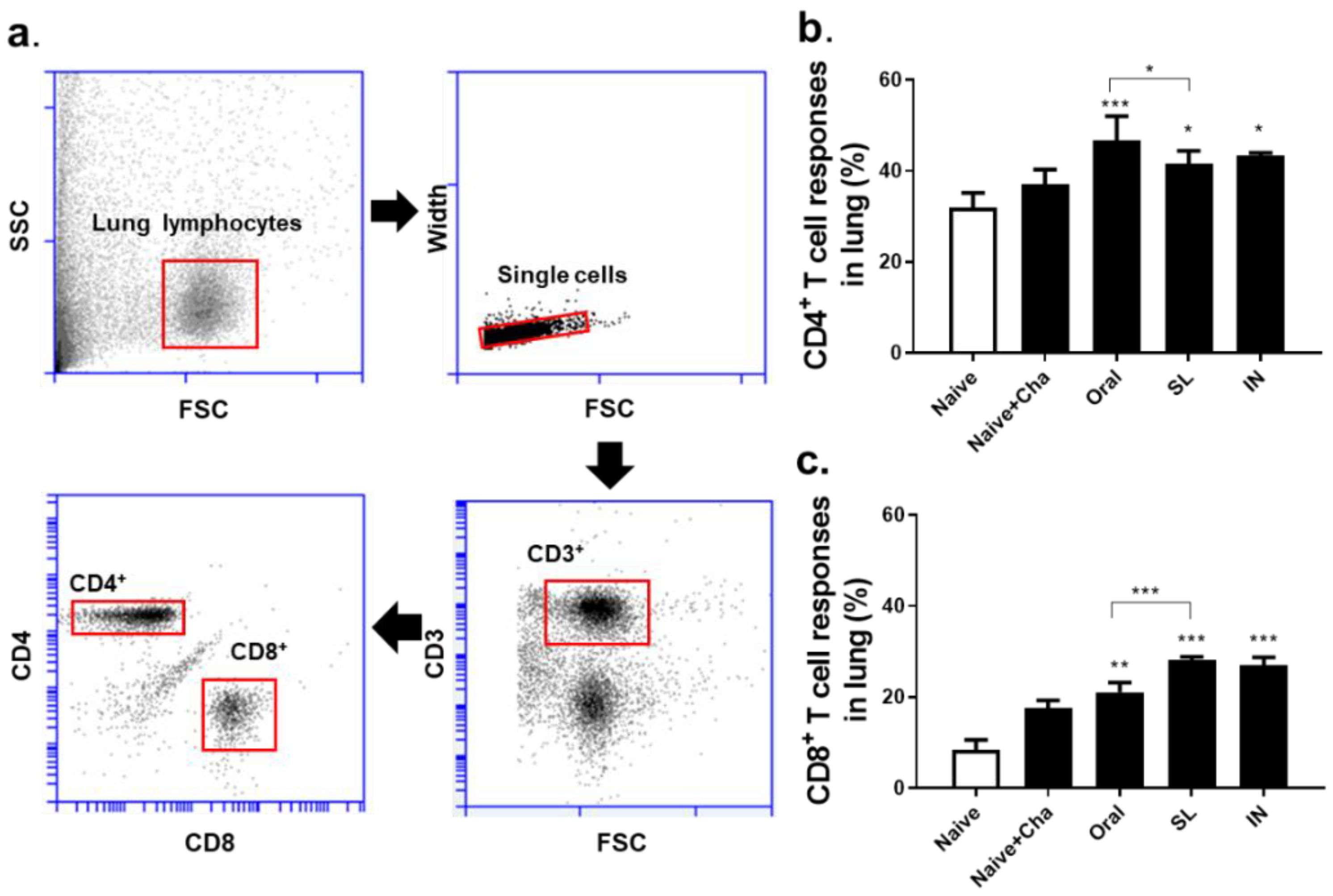 Life 12 00975 g004 550