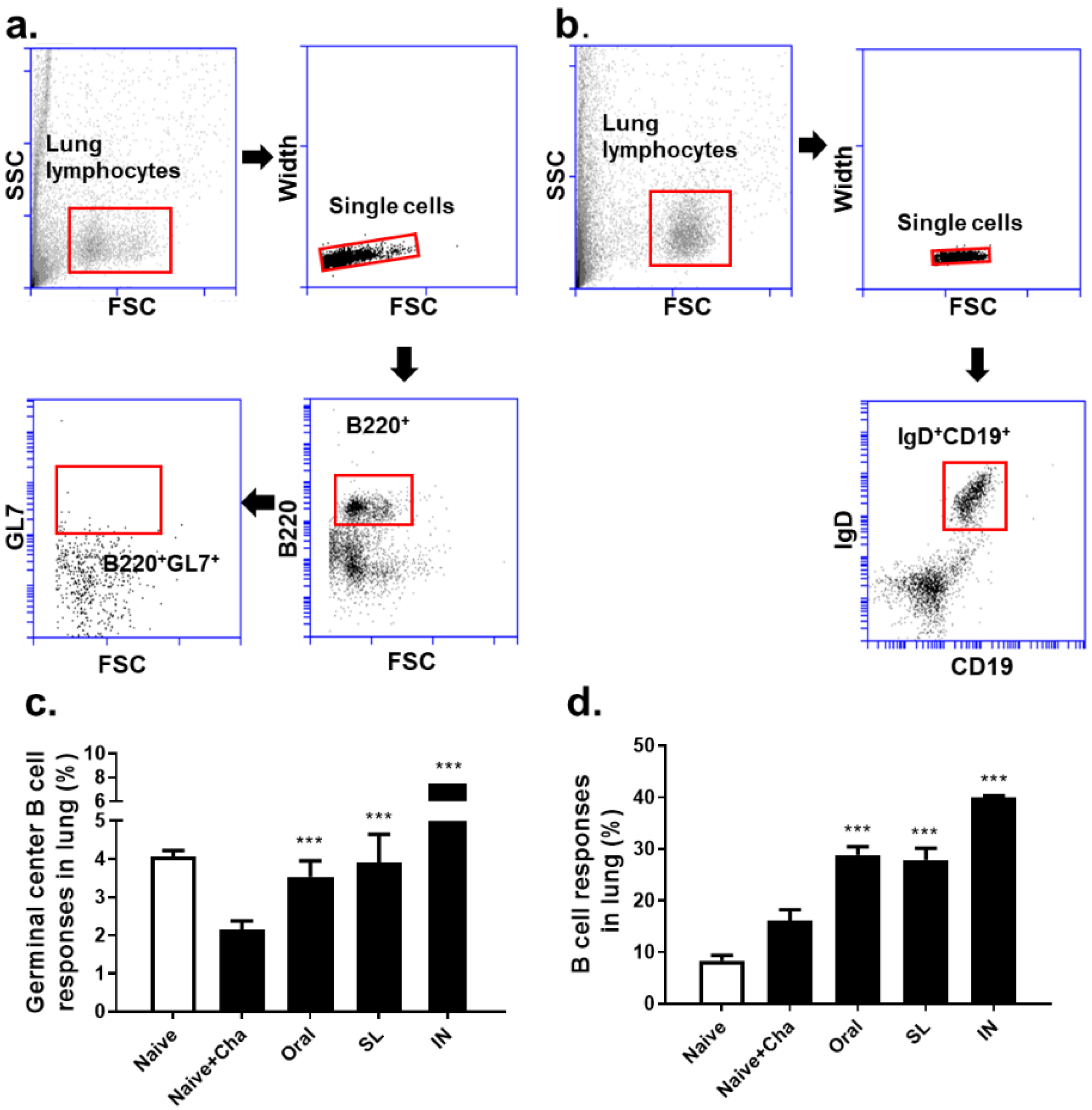Life 12 00975 g005 550