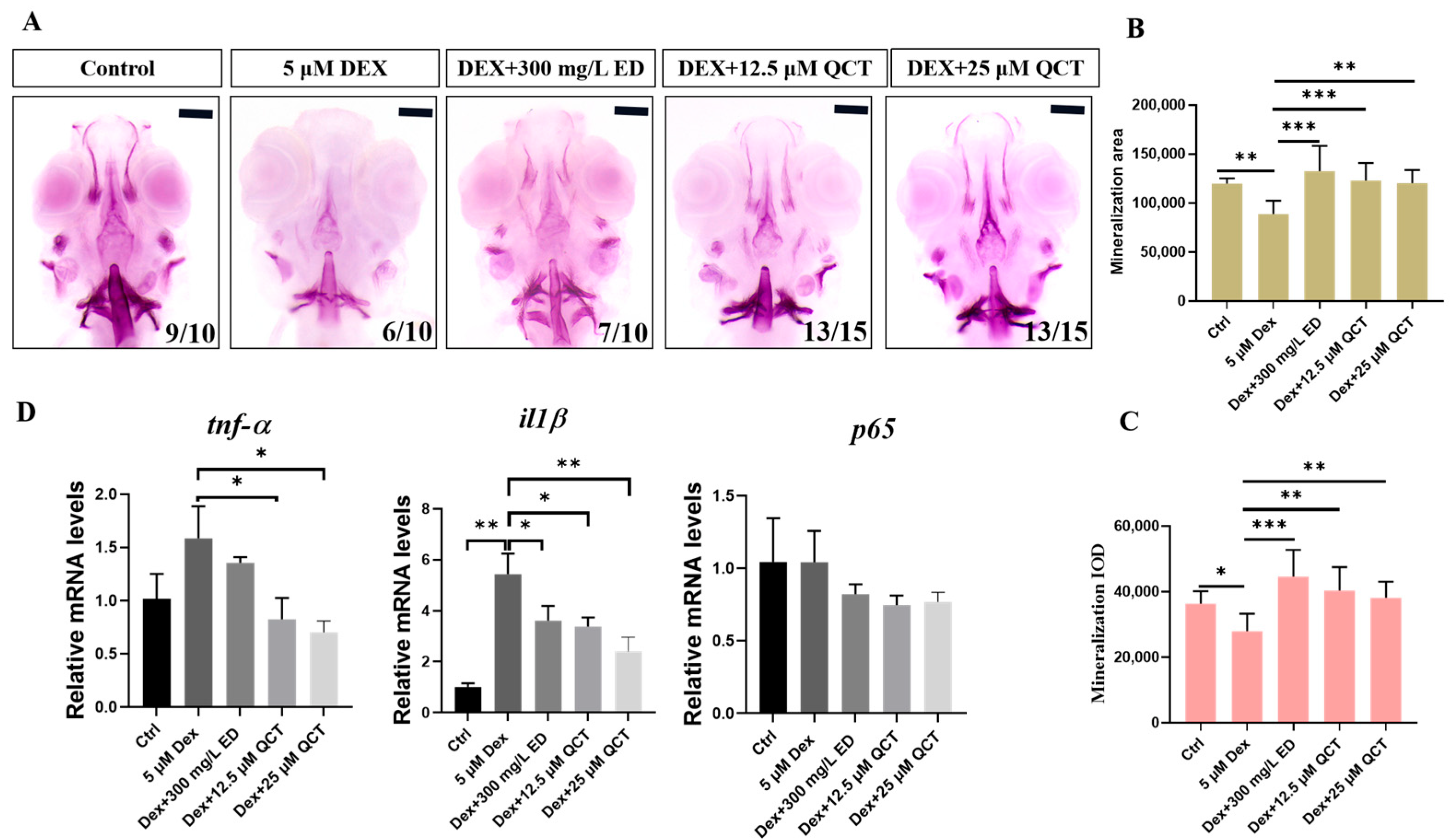 Life 12 00980 g007 Life 12 00980 g007