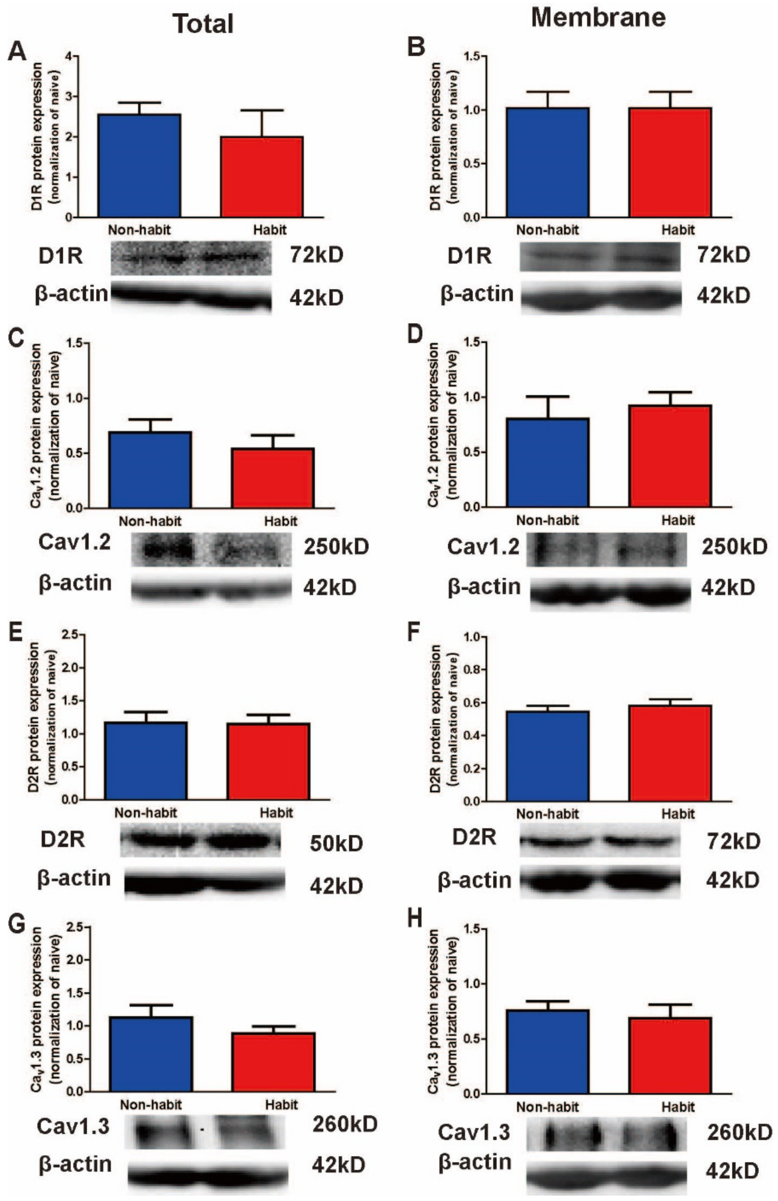 Life 12 00984 g006 550